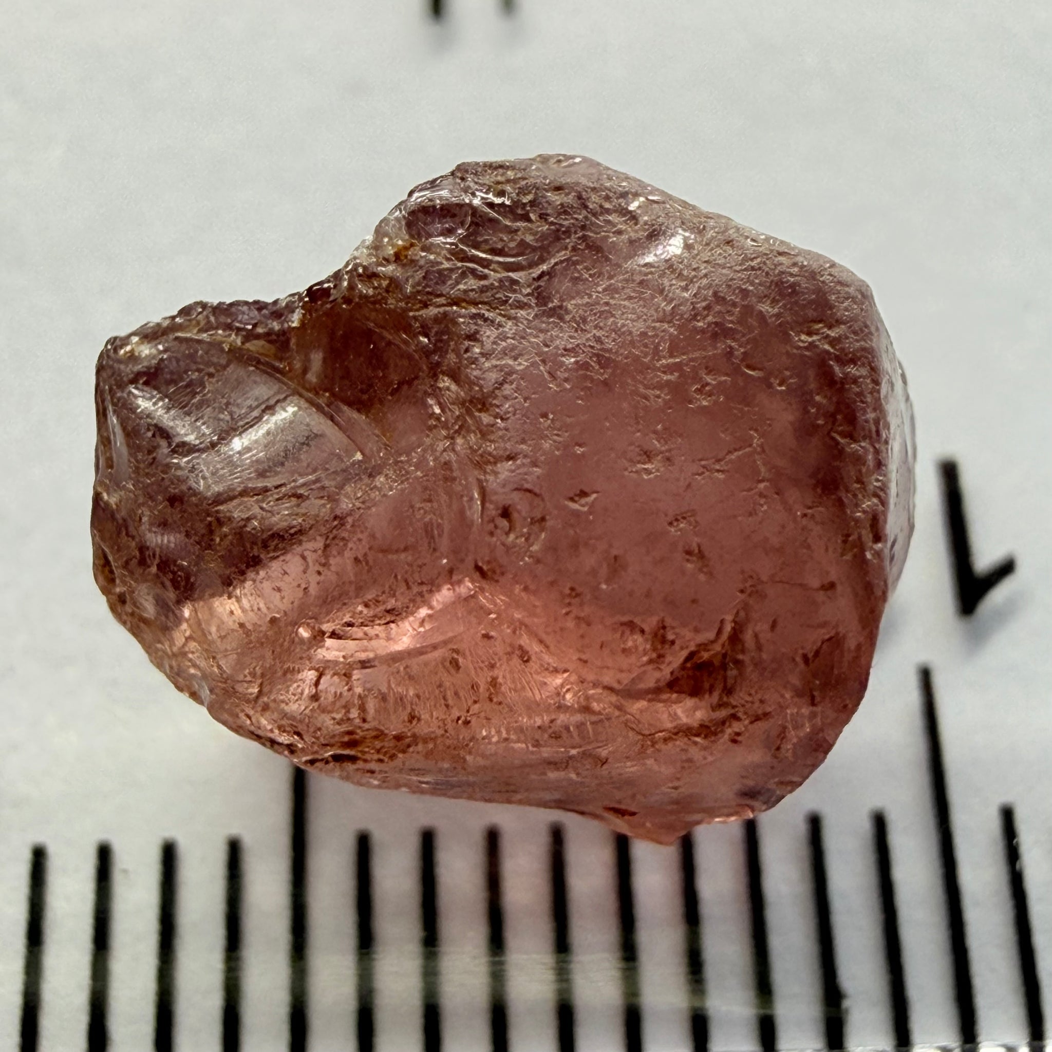 Champagne Garnet, 8.49ct, Lindi, Tanzania, Untreated Unheated, vs