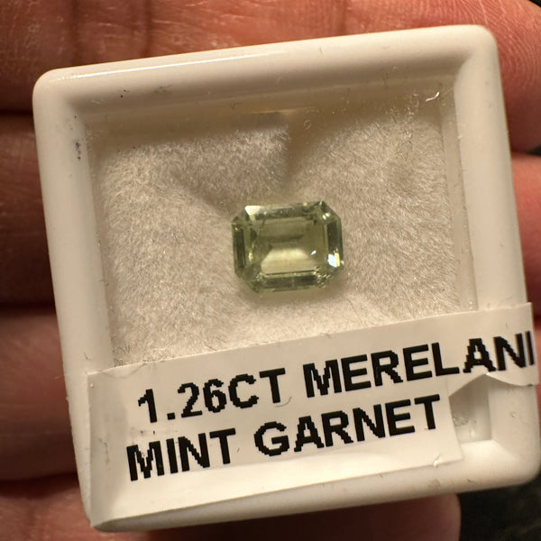 1.26Ct Merelani Mint/Light Colour Tsavorite Garnet Untreated Unheated