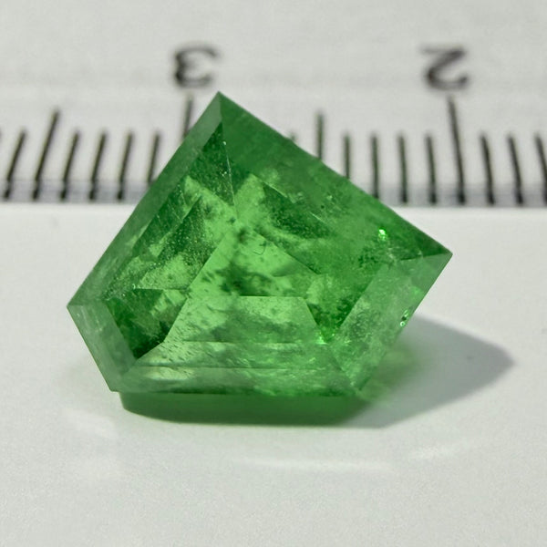 Tsavorite Garnet, 4.20ct, Tanzania, Untreated Unheated, fancy Freeform cut