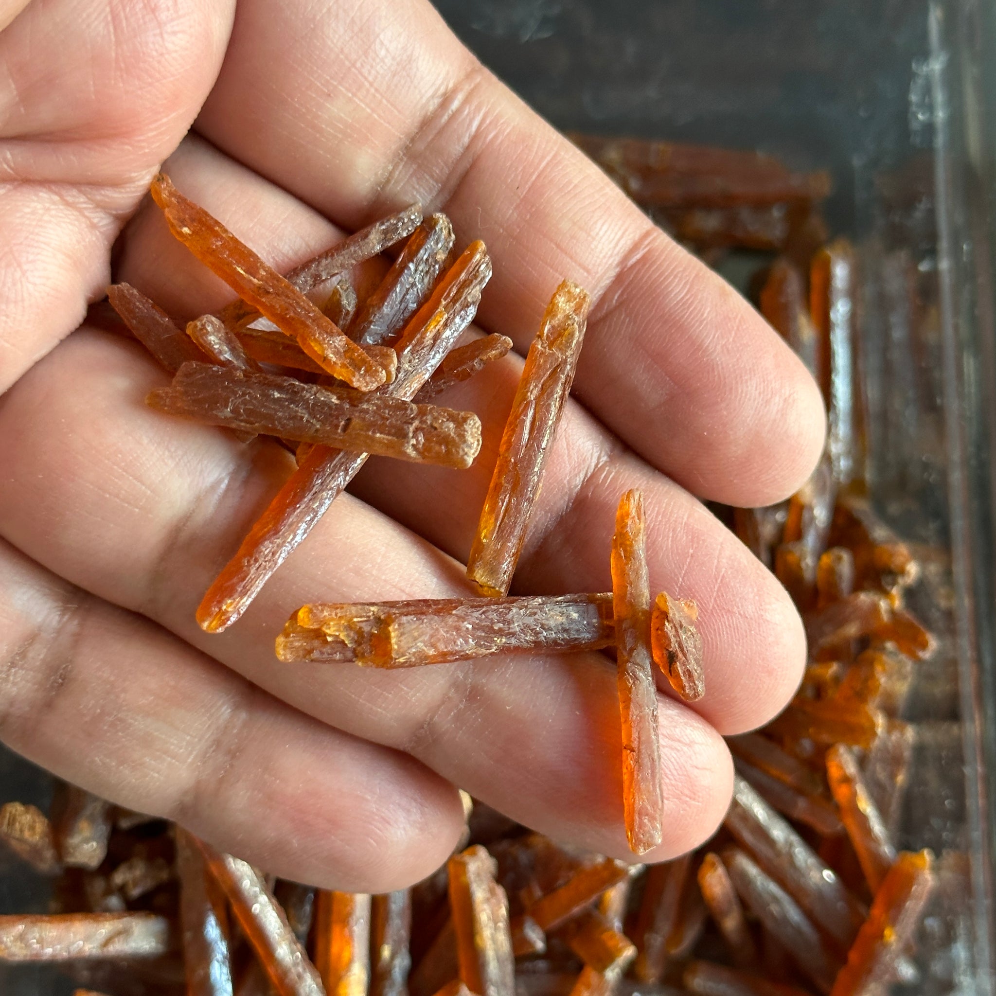 Transparent Orange Kyanite Crystals, Tanzania, thin and transparent, Per Stone