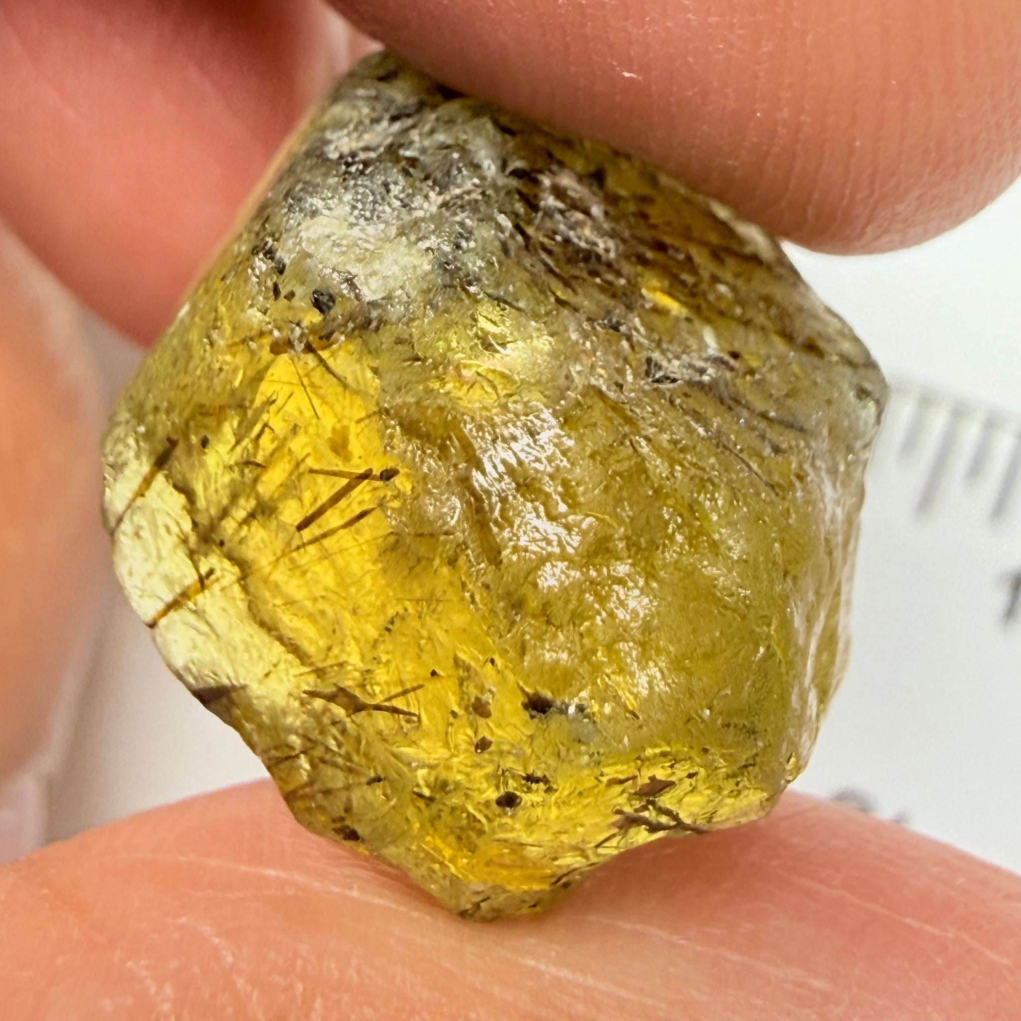 Apatite Crystal, 26.99ct, Tanzania, Untreated Unheated, has some faceting portions, see backlit photos