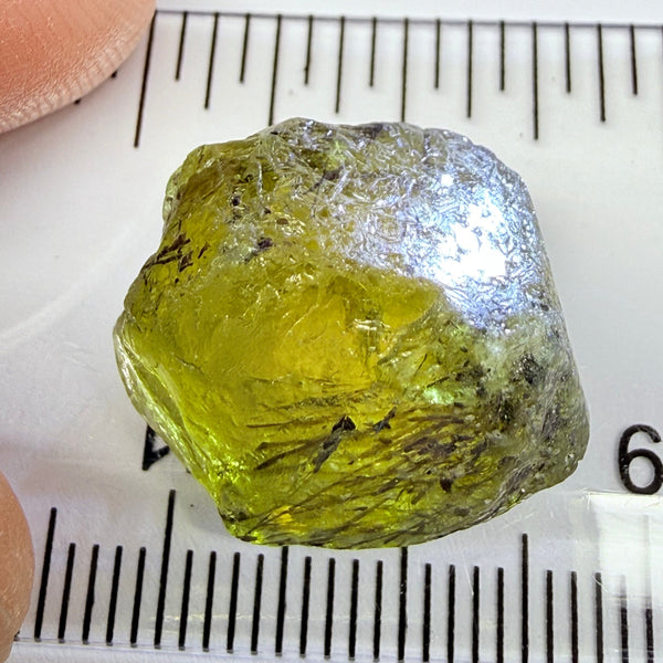 Apatite Crystal, 26.99ct, Tanzania, Untreated Unheated, has some faceting portions, see backlit photos