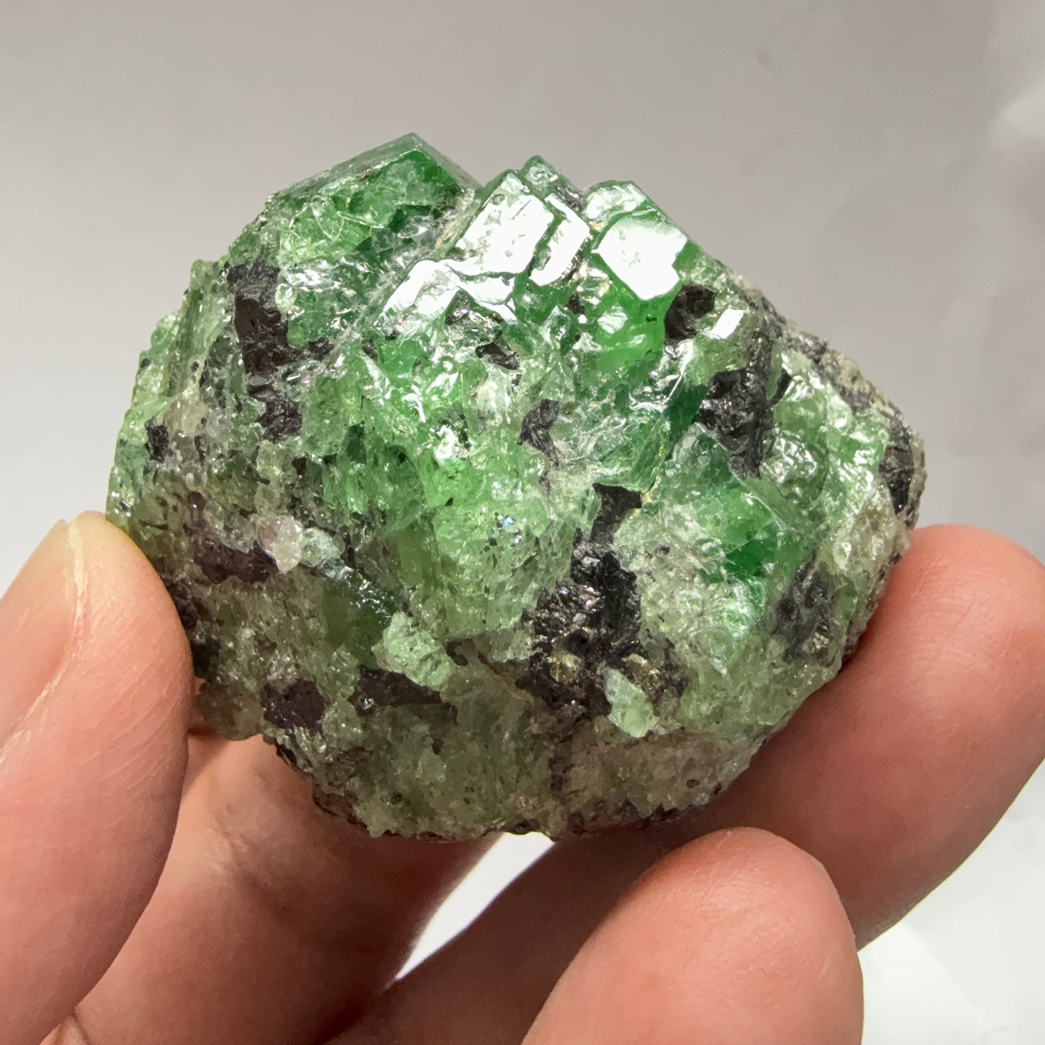 Tsavorite Garnet Crystal with Tanzanite and Pyrite, 94.0gm, Merelani Tanzania, Untreated Unheated.