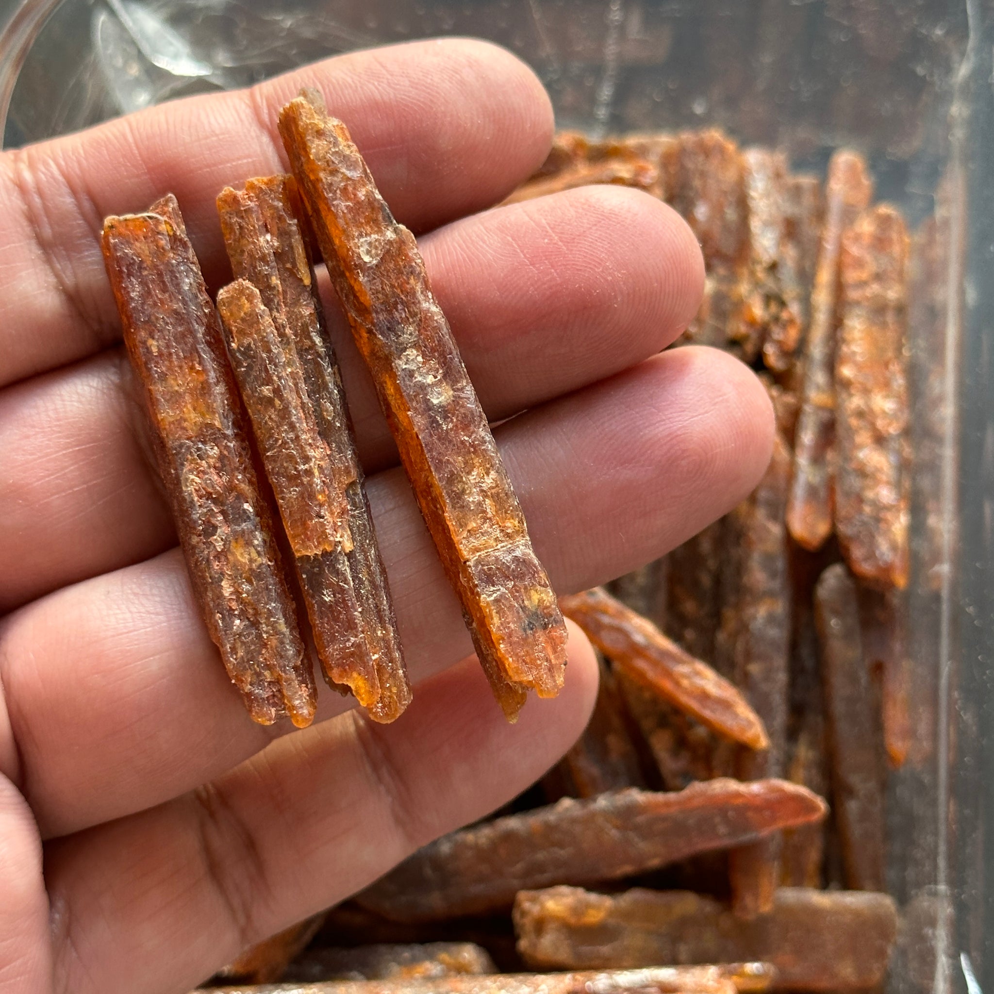 Orange Kyanite Crystals, Tanzania, Large and chunky, Per Stone