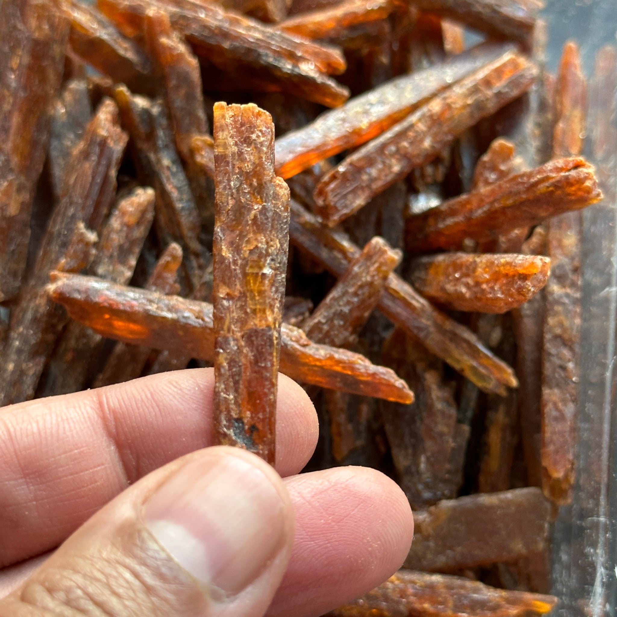 Orange Kyanite Crystals, Tanzania, Large and chunky, Per Stone