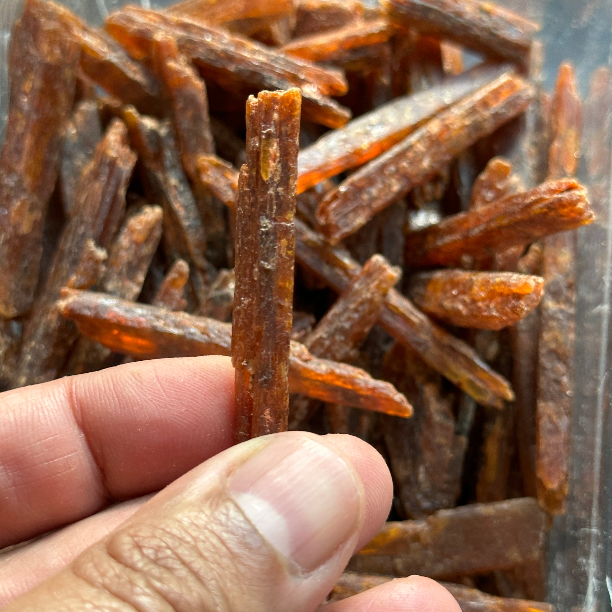 Orange Kyanite Crystals, Tanzania, Large and chunky, Per Stone