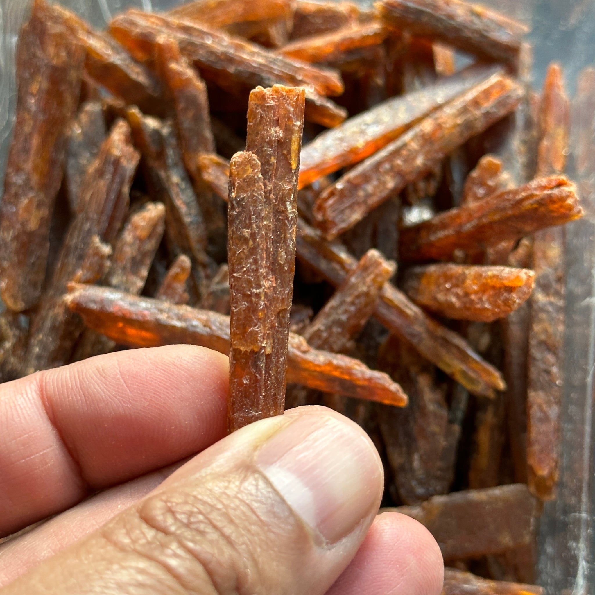 Orange Kyanite Crystals, Tanzania, Large and chunky, Per Stone