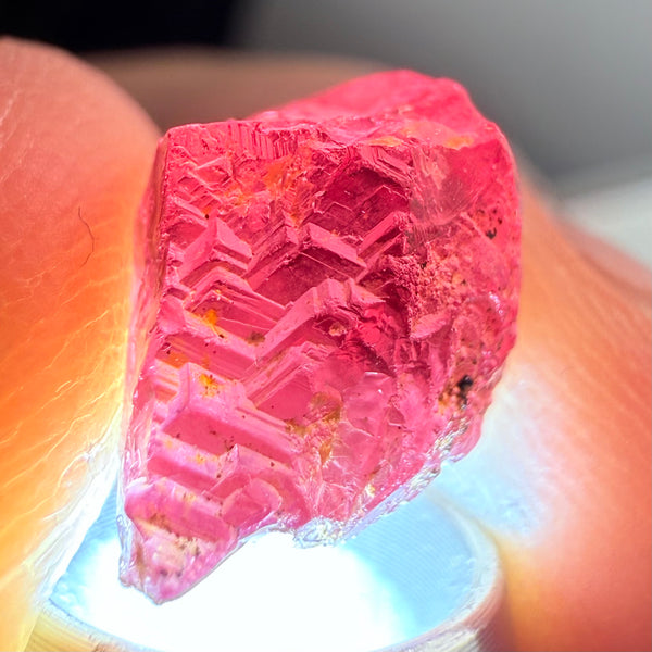 Garnet, Beautiful Etching, 5.60ct, Tanzania, Untreated Unheated, shown with a torch light underneath