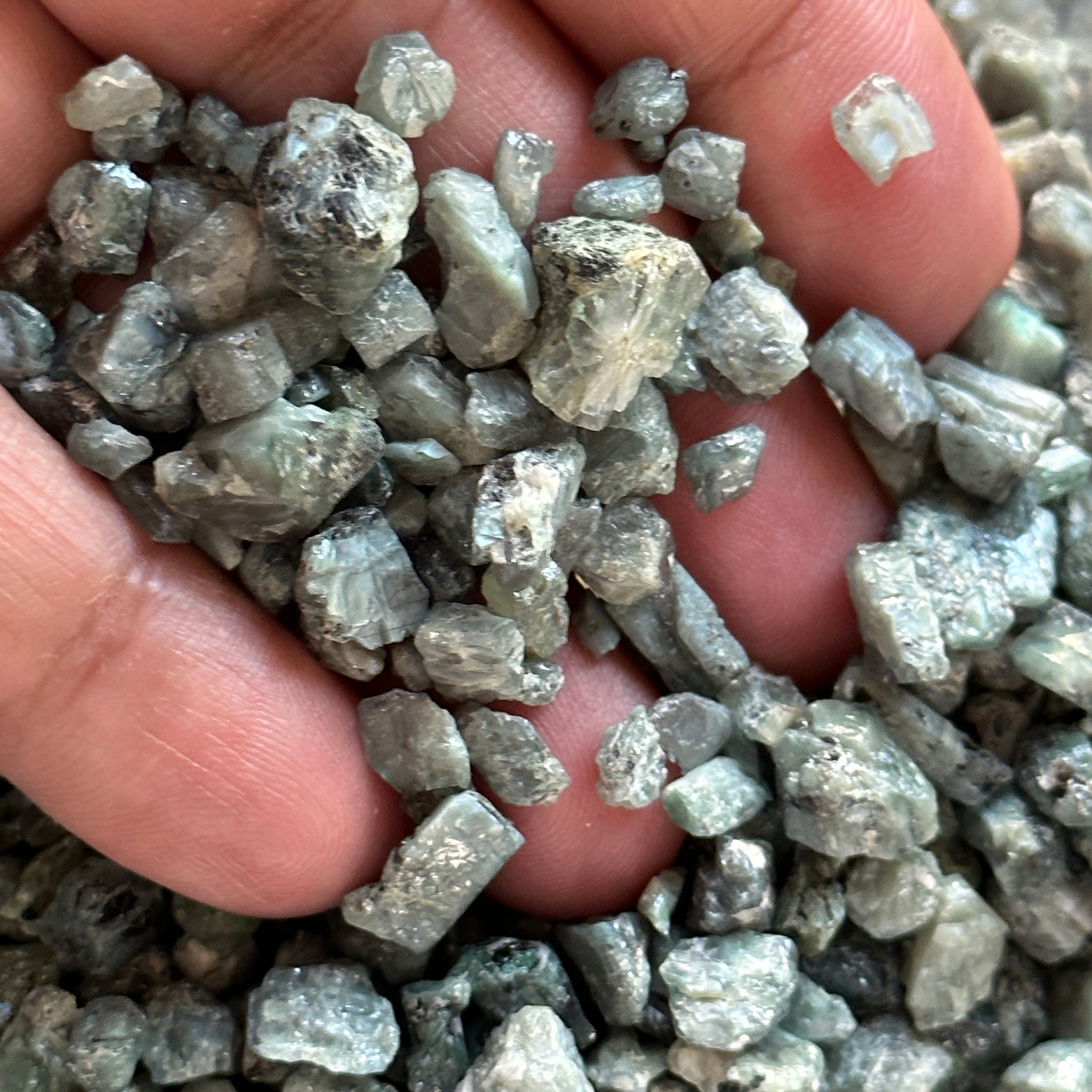 Alexandrite Crystals, Tanzania, Unheated, Per Stone, want any particular shape or size, just ask, beautiful crystals