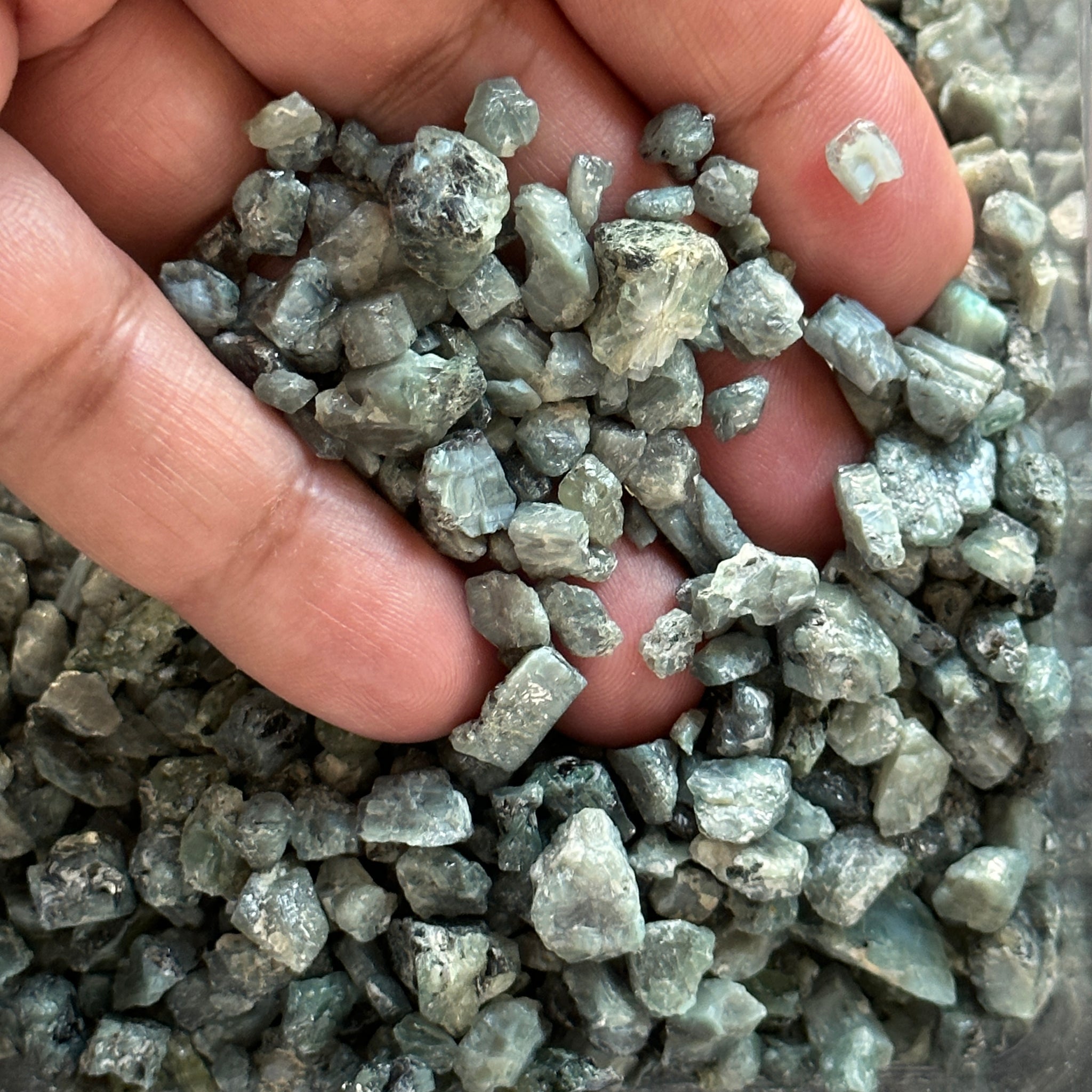 Alexandrite Crystals, Tanzania, Unheated, Per Stone, want any particular shape or size, just ask, beautiful crystals