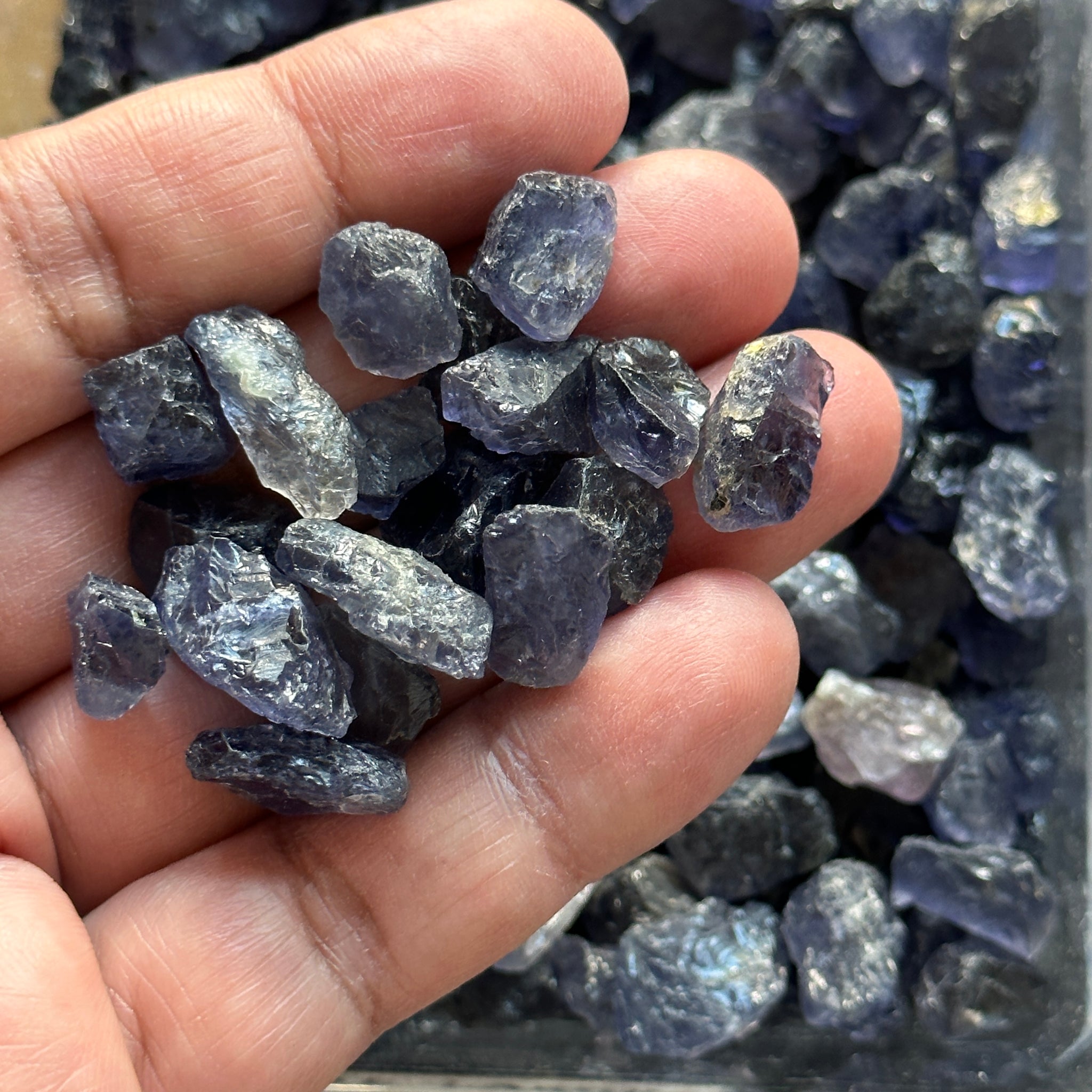 Iolite, Tanzania, Per Stone, faceting, cabbing and specimen grade mixed