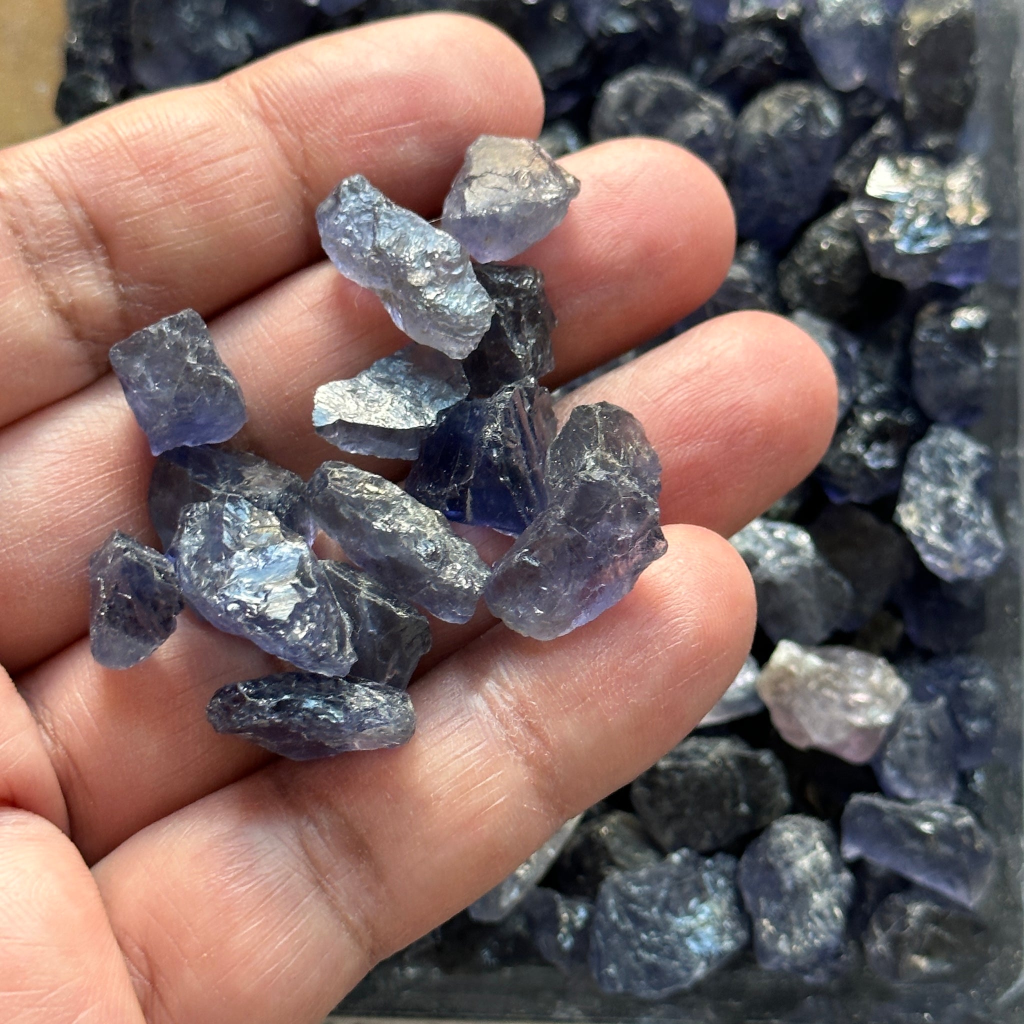 Iolite, Tanzania, Per Stone, faceting, cabbing and specimen grade mixed