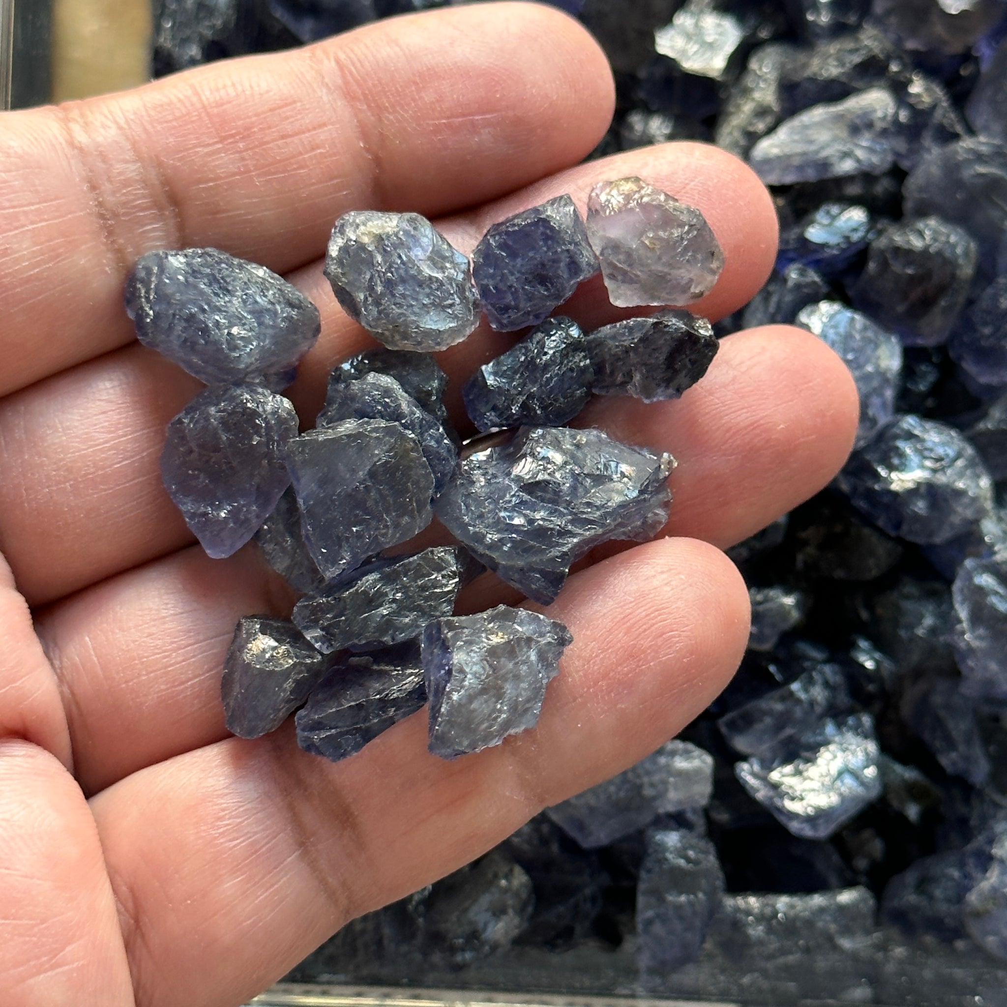 Iolite, Tanzania, Per Stone, faceting, cabbing and specimen grade mixed
