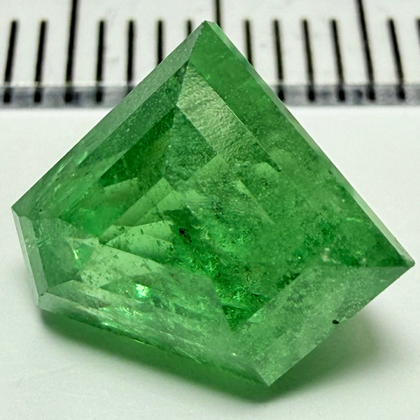 Tsavorite Garnet, 4.20ct, Tanzania, Untreated Unheated, fancy Freeform cut