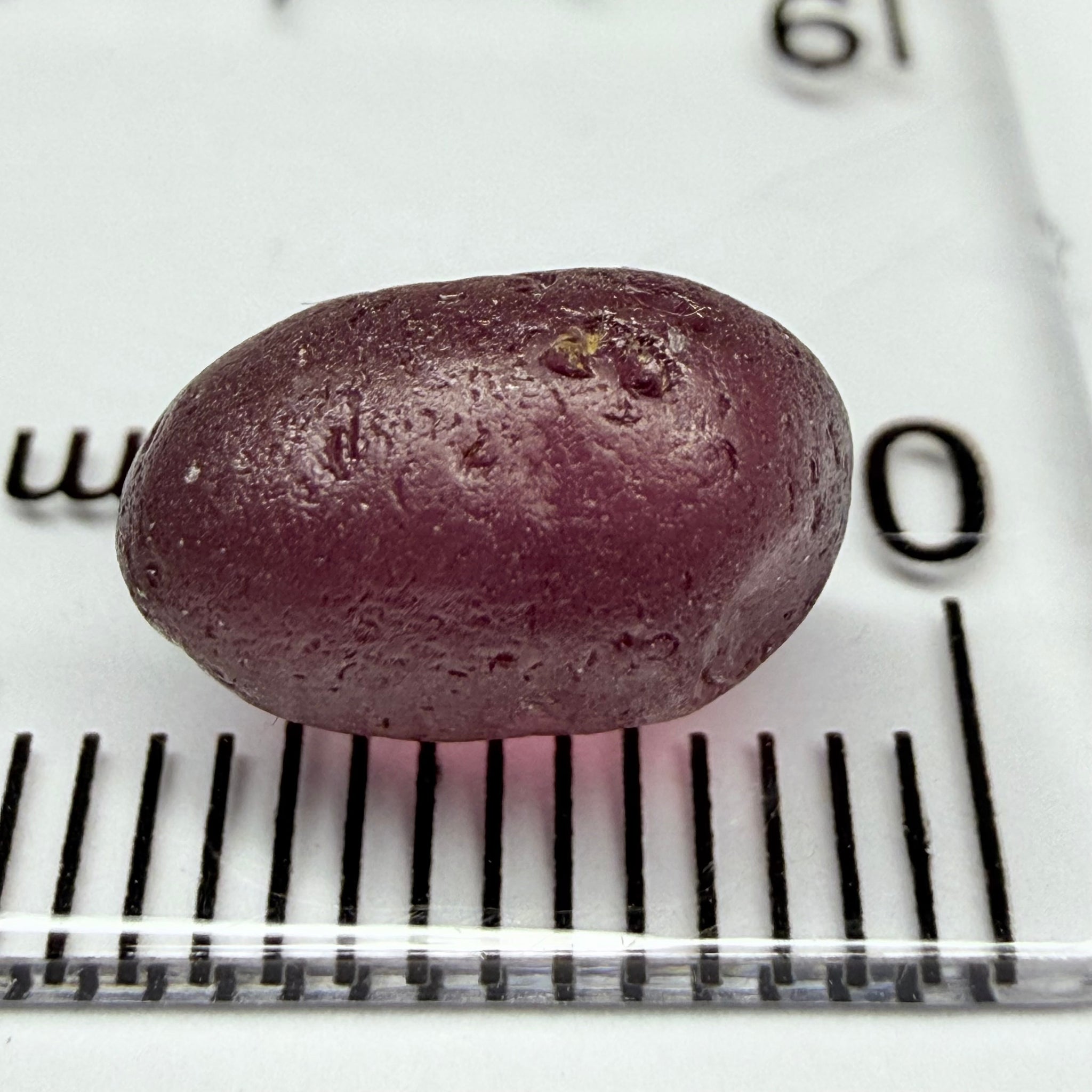 Tanga Garnet, 4.74ct, Tanzania, Untreated Unheated, vvs, slight silk