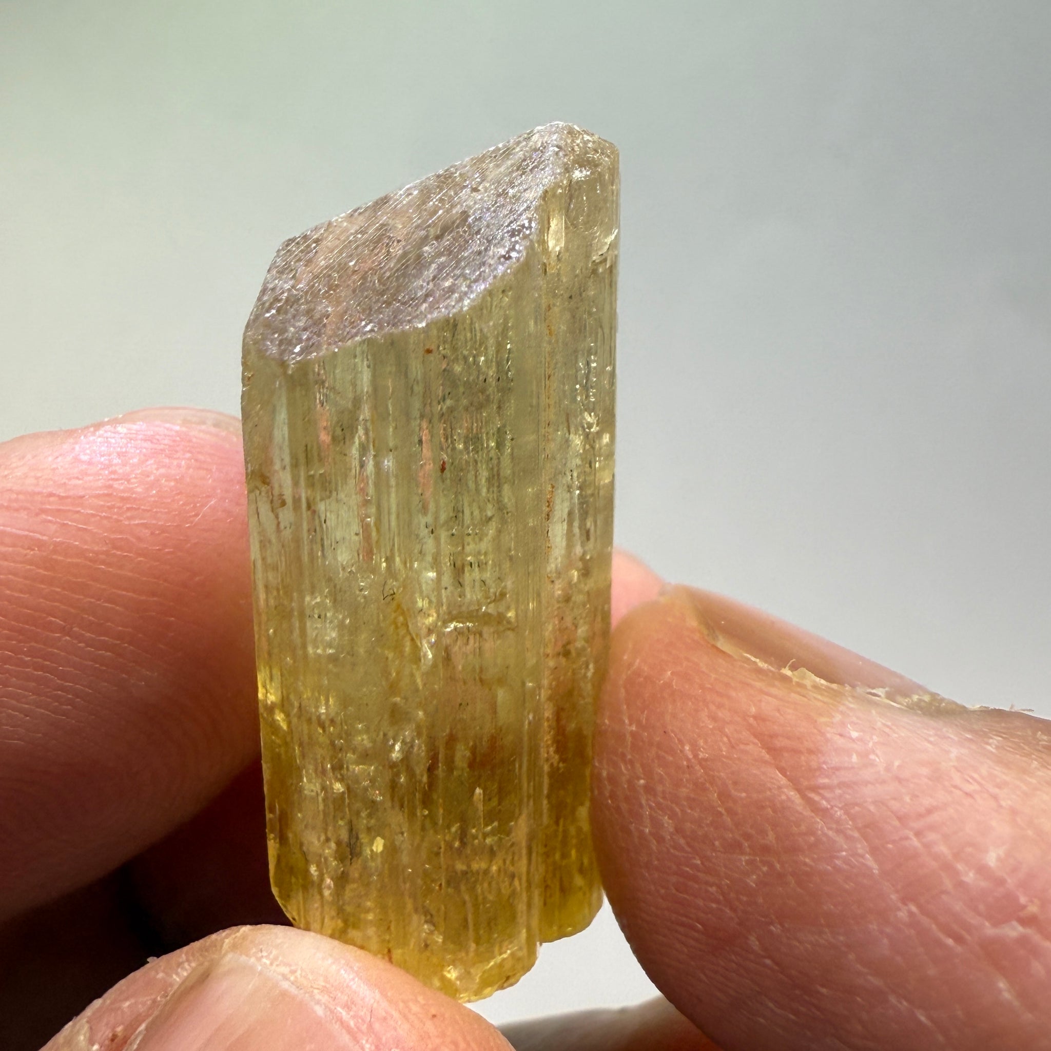 Golden Scapolite Crystal, 41.37ct, Dodoma, Tanzania, Untreated Unheated