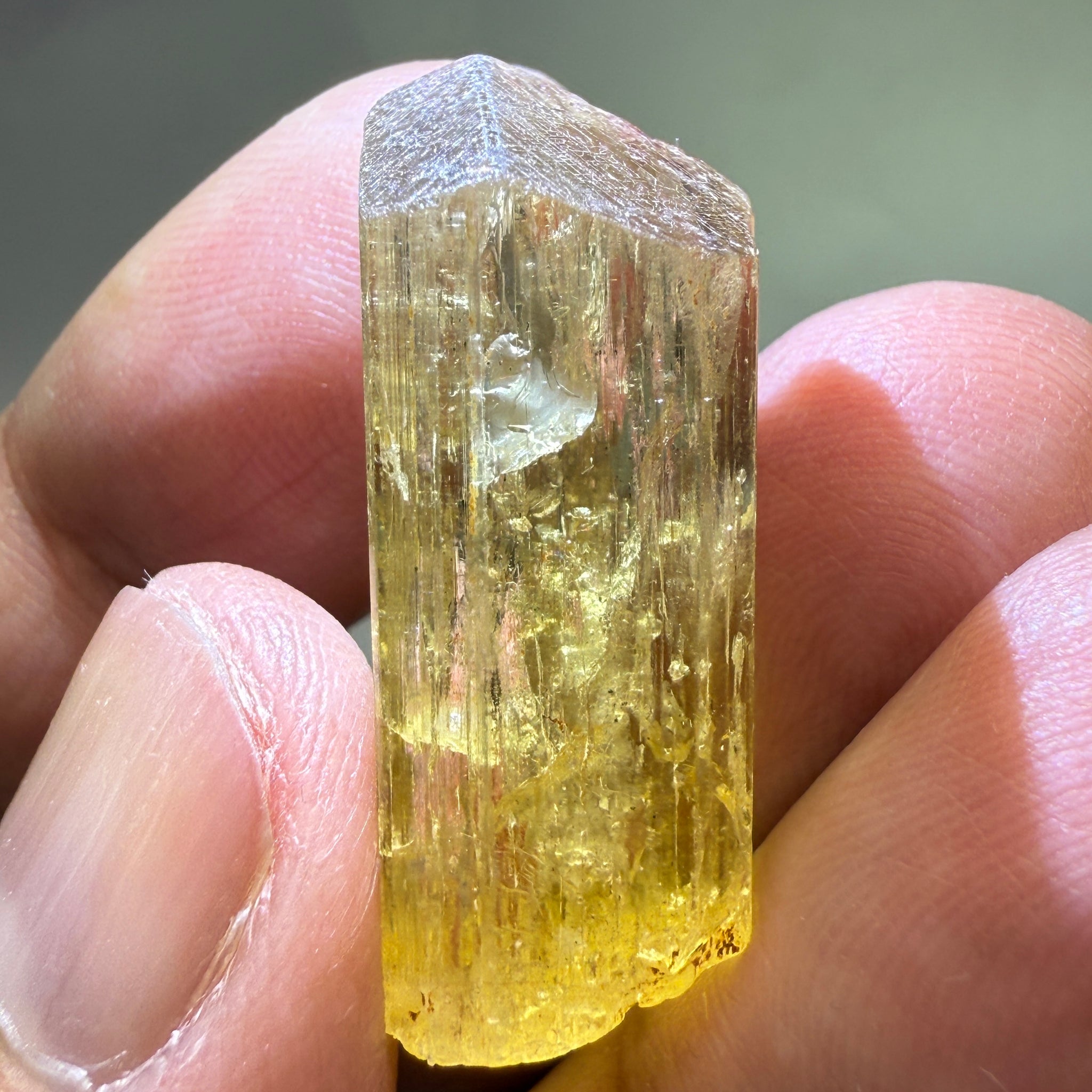 Golden Scapolite Crystal, 41.37ct, Dodoma, Tanzania, Untreated Unheated