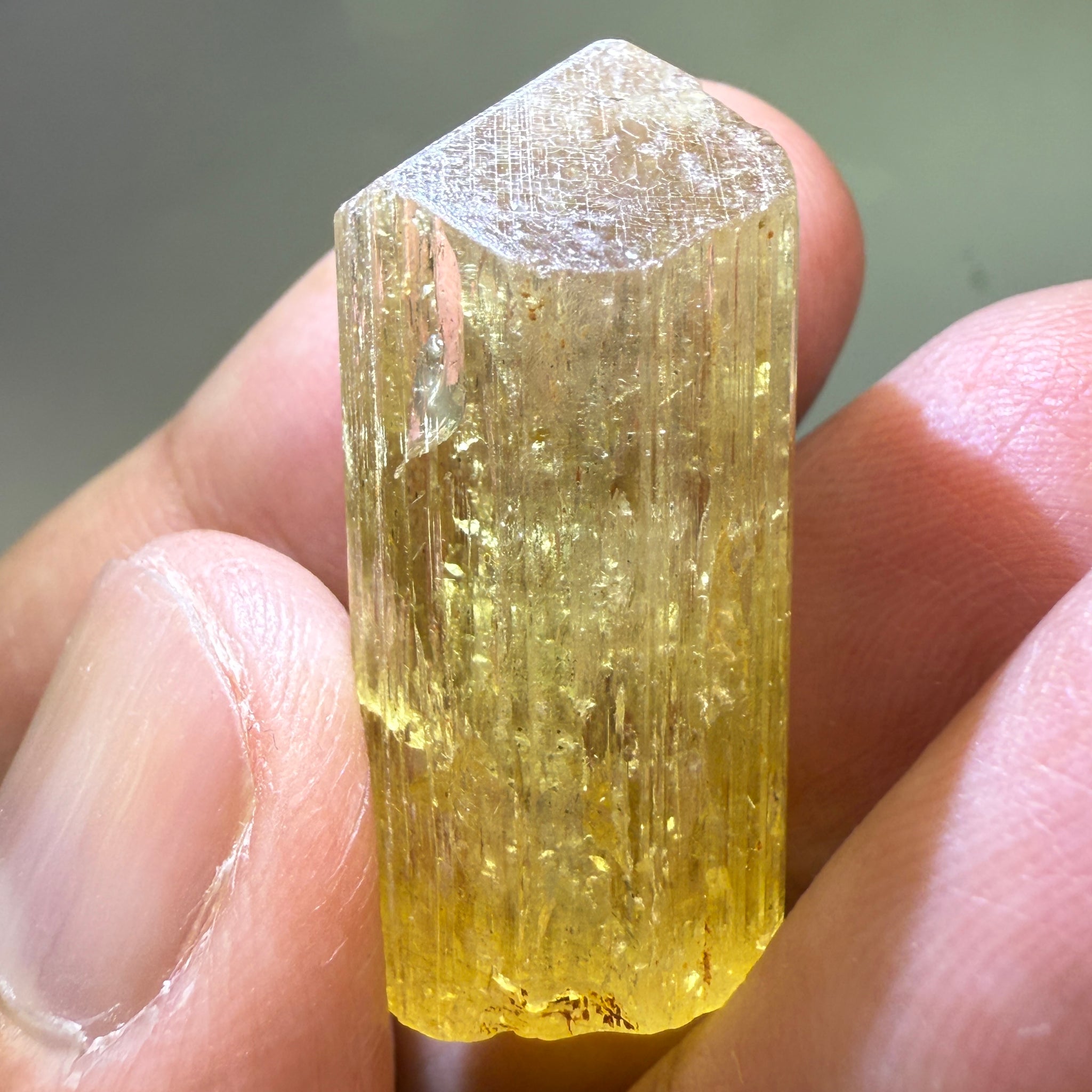 Golden Scapolite Crystal, 41.37ct, Dodoma, Tanzania, Untreated Unheated