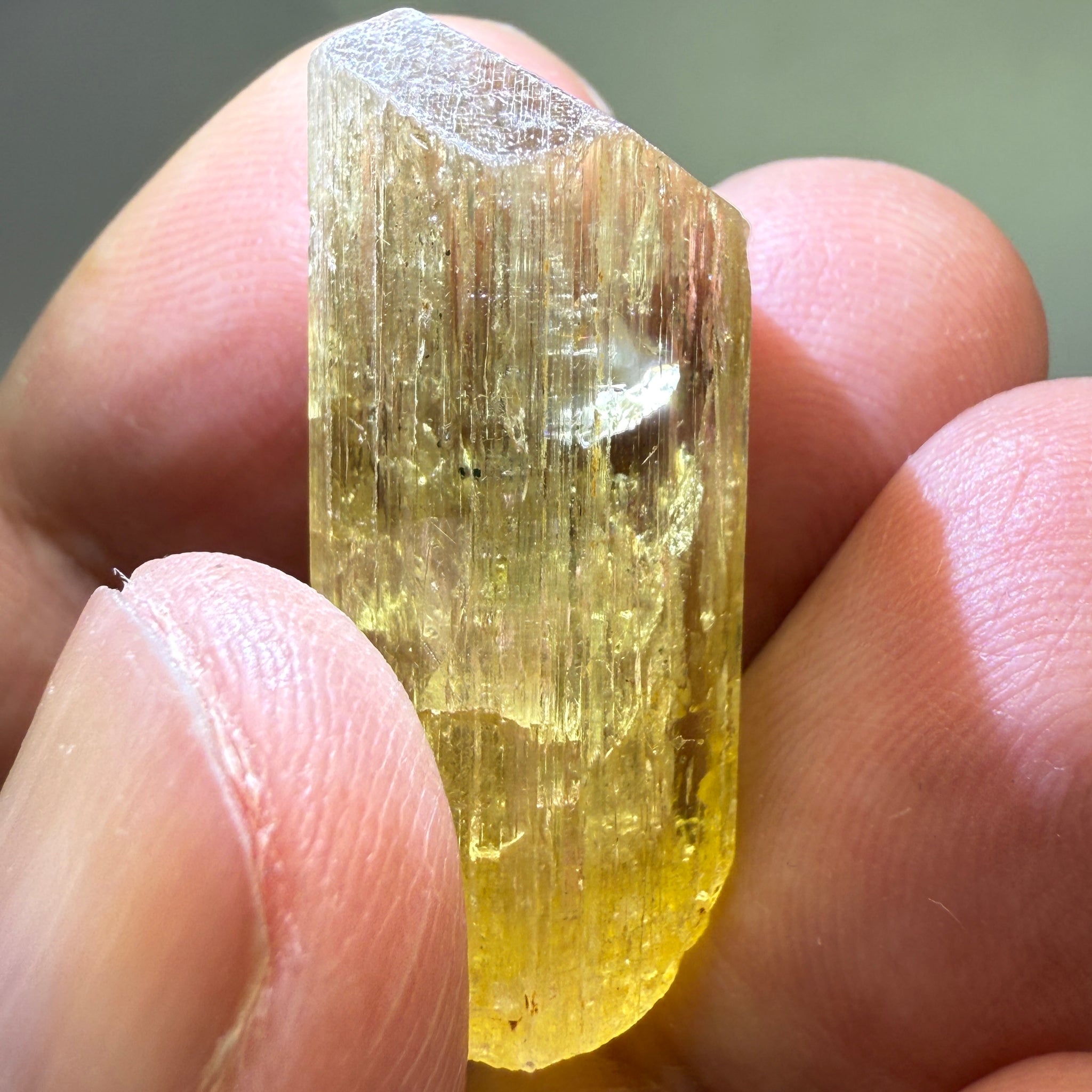 Golden Scapolite Crystal, 41.37ct, Dodoma, Tanzania, Untreated Unheated