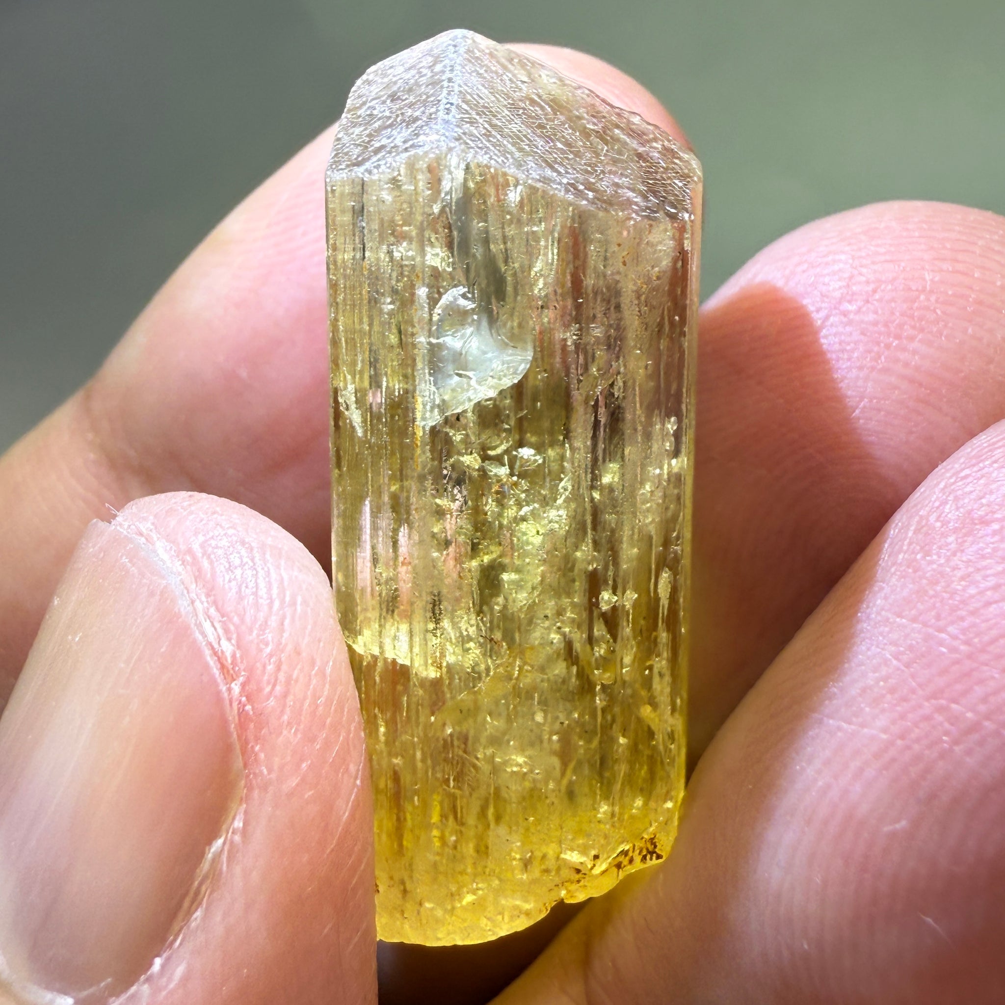 Golden Scapolite Crystal, 41.37ct, Dodoma, Tanzania, Untreated Unheated