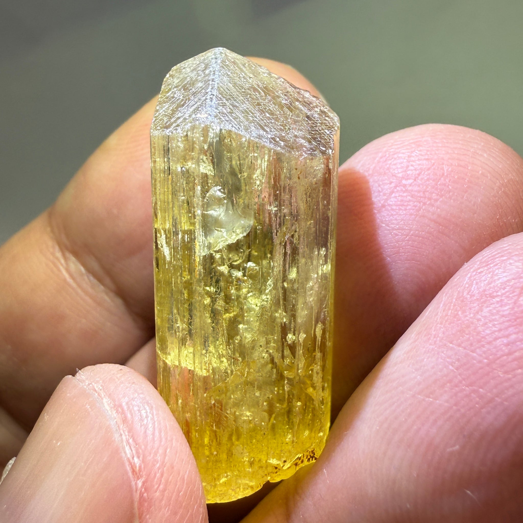 Golden Scapolite Crystal, 41.37ct, Dodoma, Tanzania, Untreated Unheated