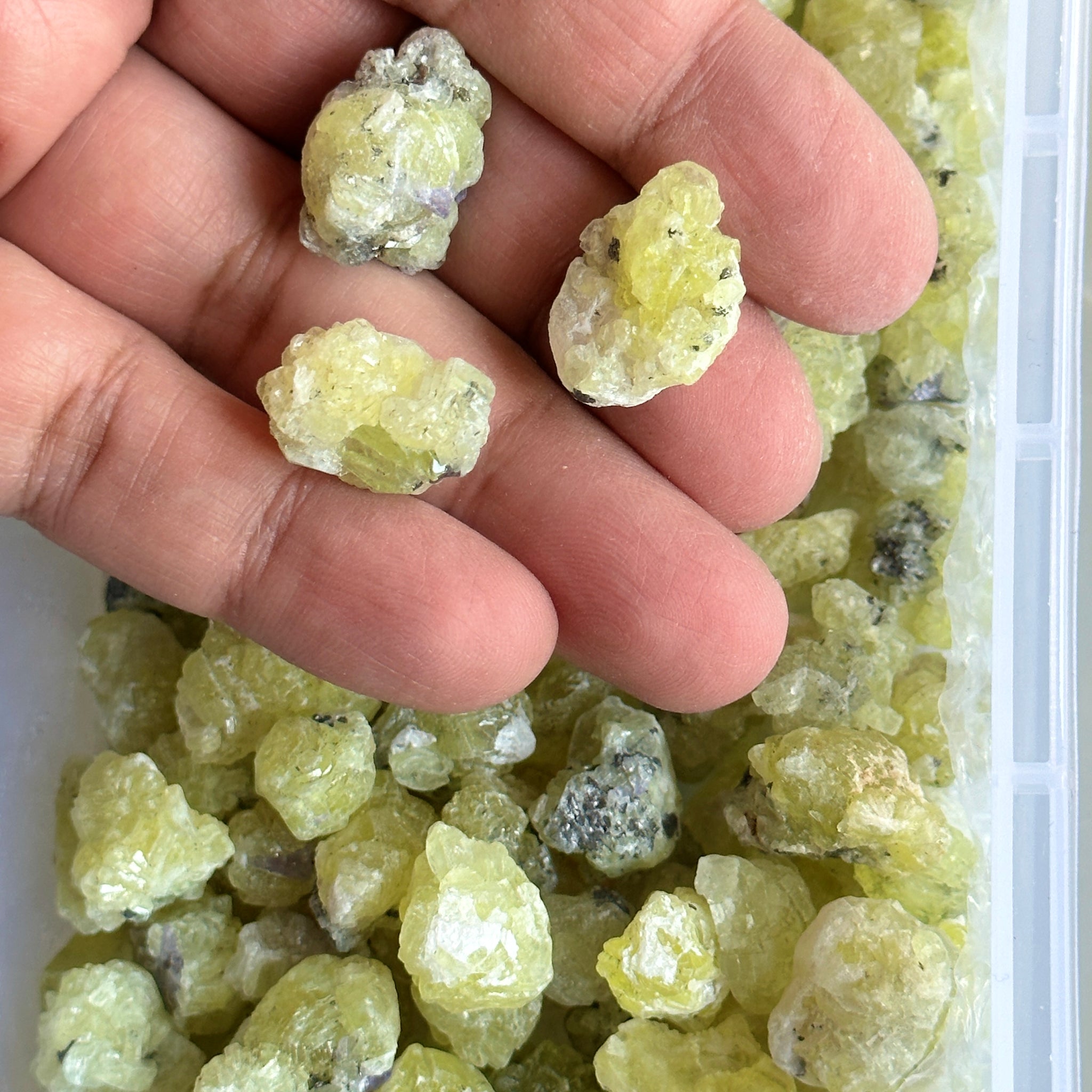 Prehinite Crystals from Tanzania, price is for 5 PIECES