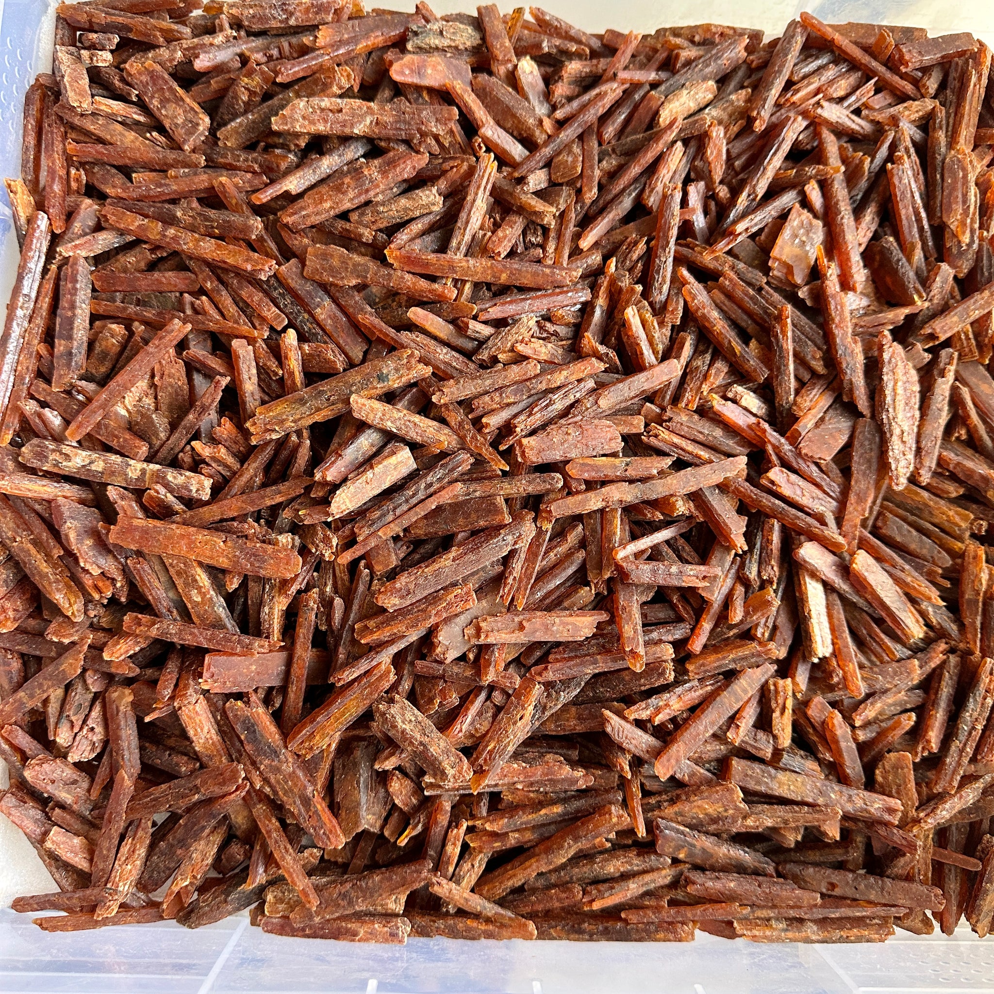 Orange Kyanite, Tanzania, Large Sizes, per piece blind pour