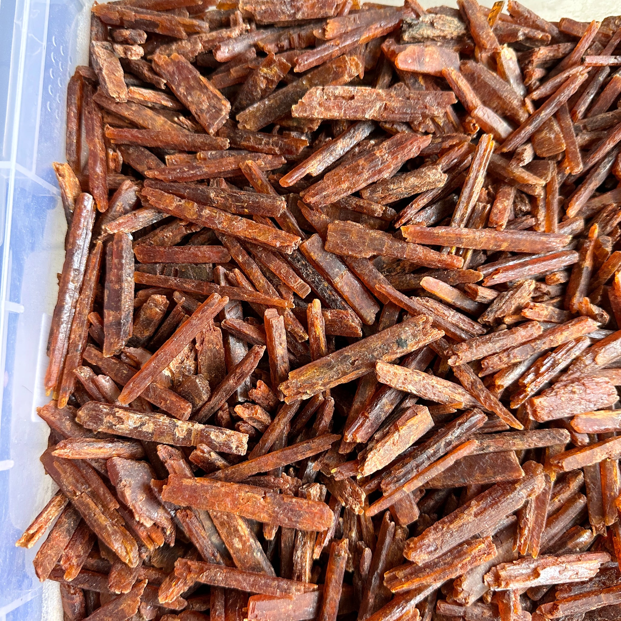 Orange Kyanite, Tanzania, Large Sizes, per piece blind pour