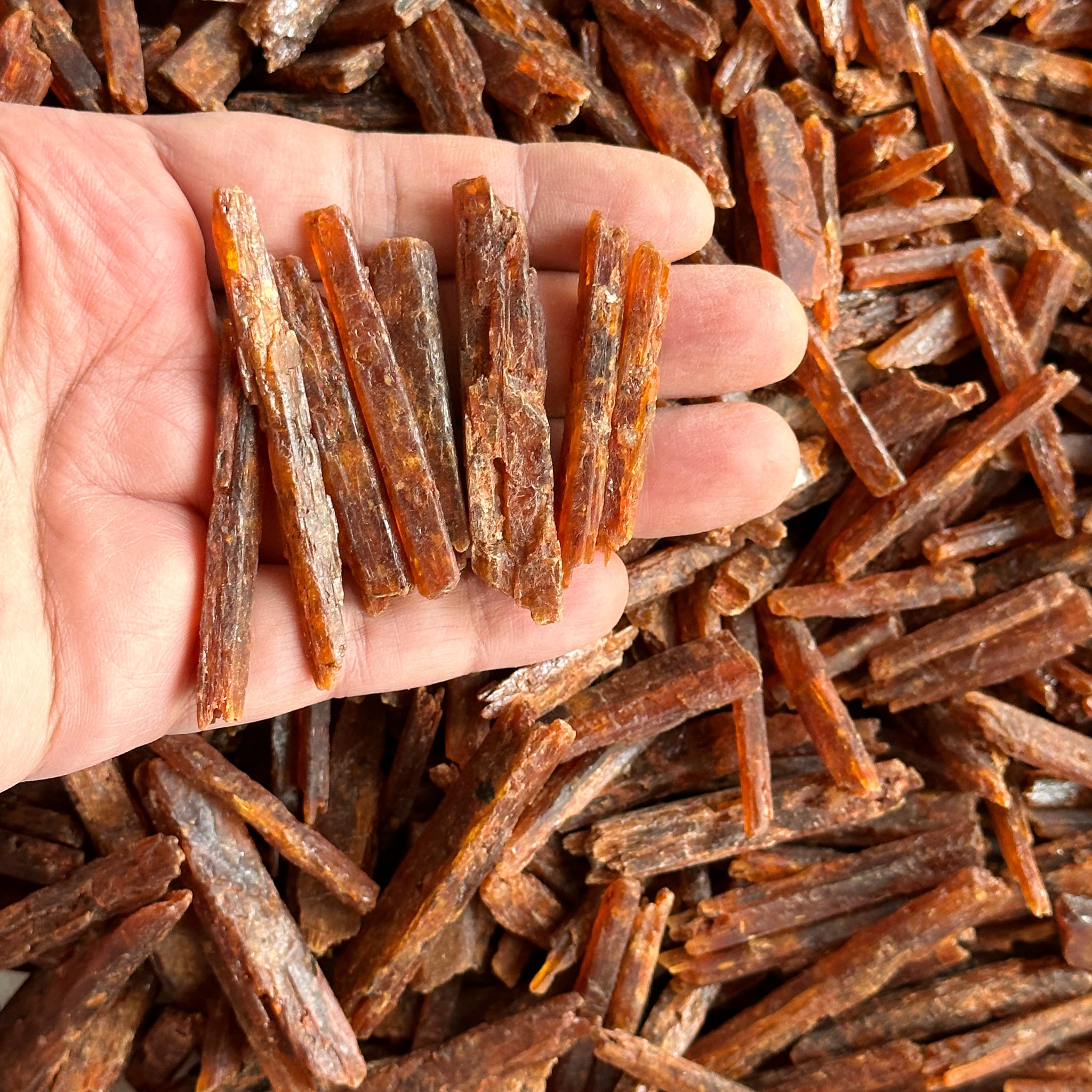 Orange Kyanite, Tanzania, Large Sizes, per piece blind pour