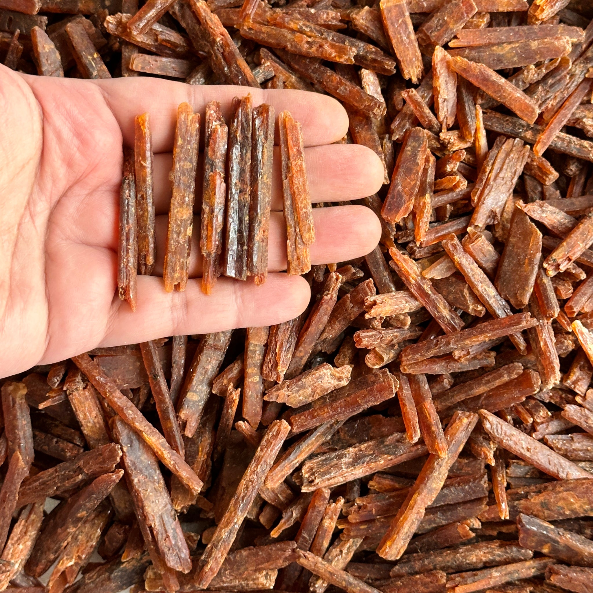 Orange Kyanite, Tanzania, Large Sizes, per piece blind pour
