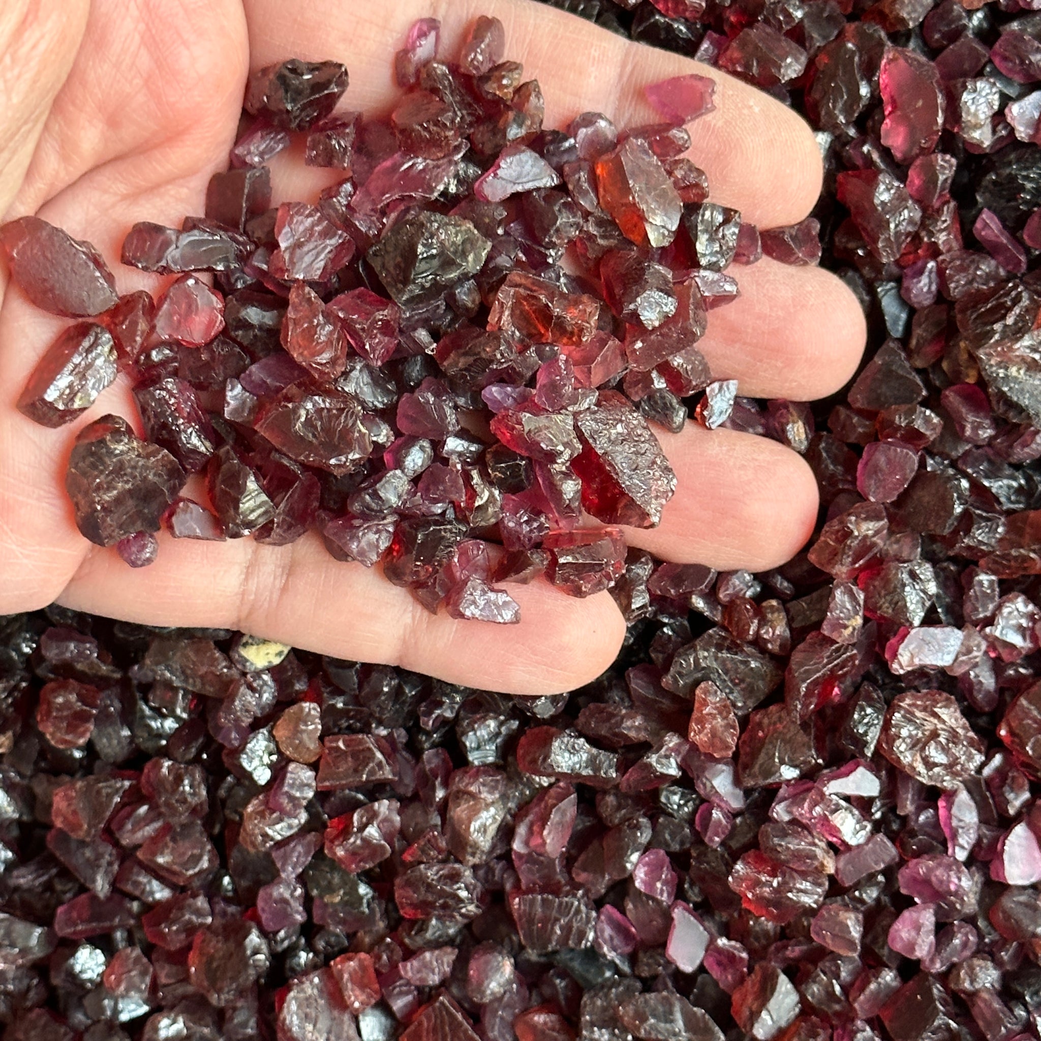 Mixed Garnets per PIECE blind pour, MOST ARE FACETING ROUGH