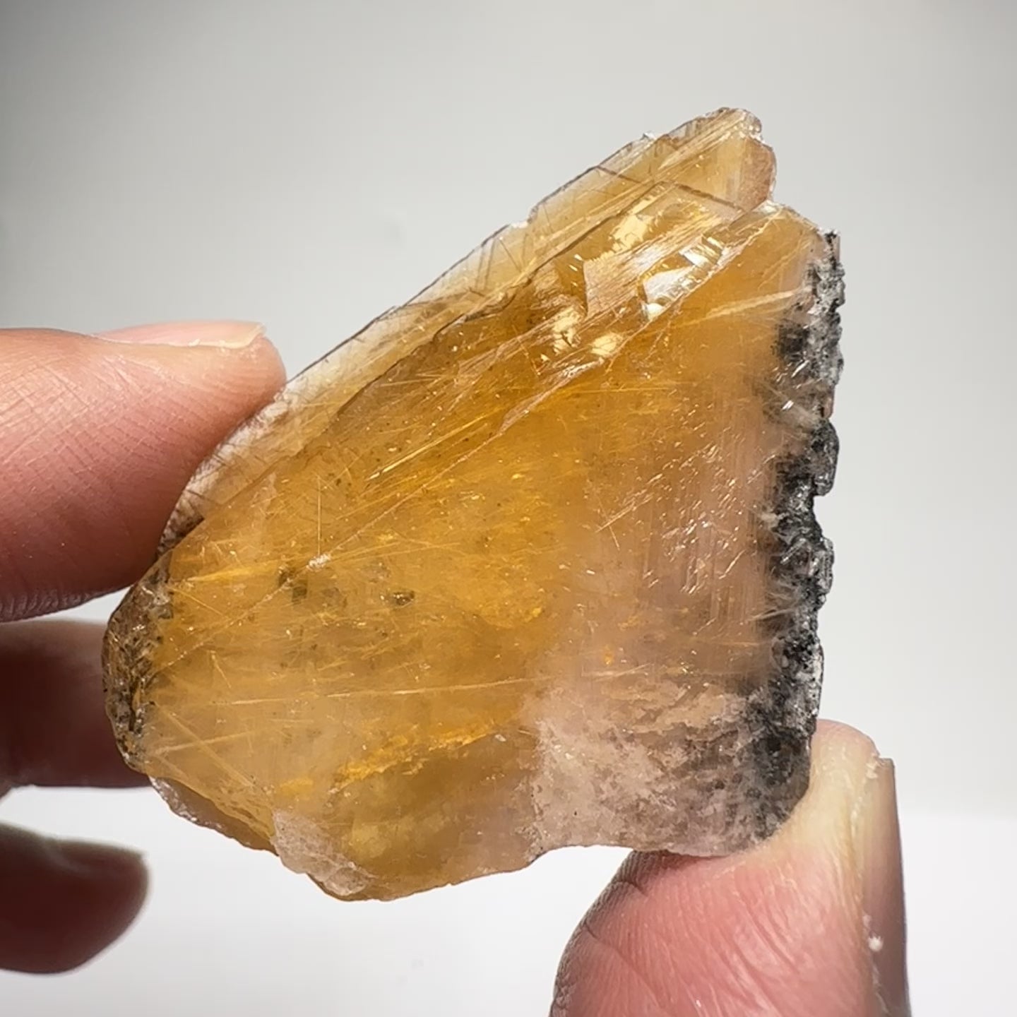 Magnesio Axinite, 22.70gm, Crystal, Merelani, Tanzania. 48.0 x 33.10 x 10.7mm, Untreated Unheated