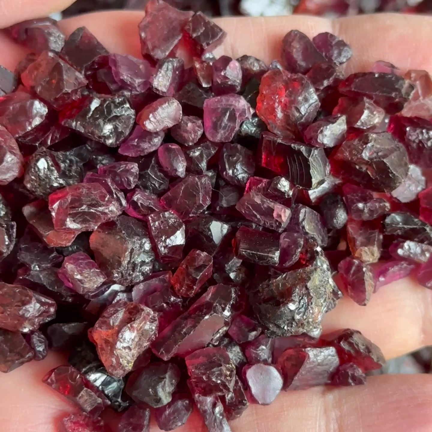 Mixed Garnets per PIECE blind pour, MOST ARE FACETING ROUGH