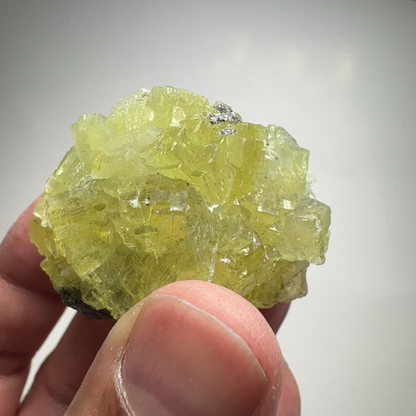 Prehinite Crystal, 288ct / 57.60gm, Merelani, Tanzania, Untreated Unheated. 43.5mm x 32.5mm x 34.5mm