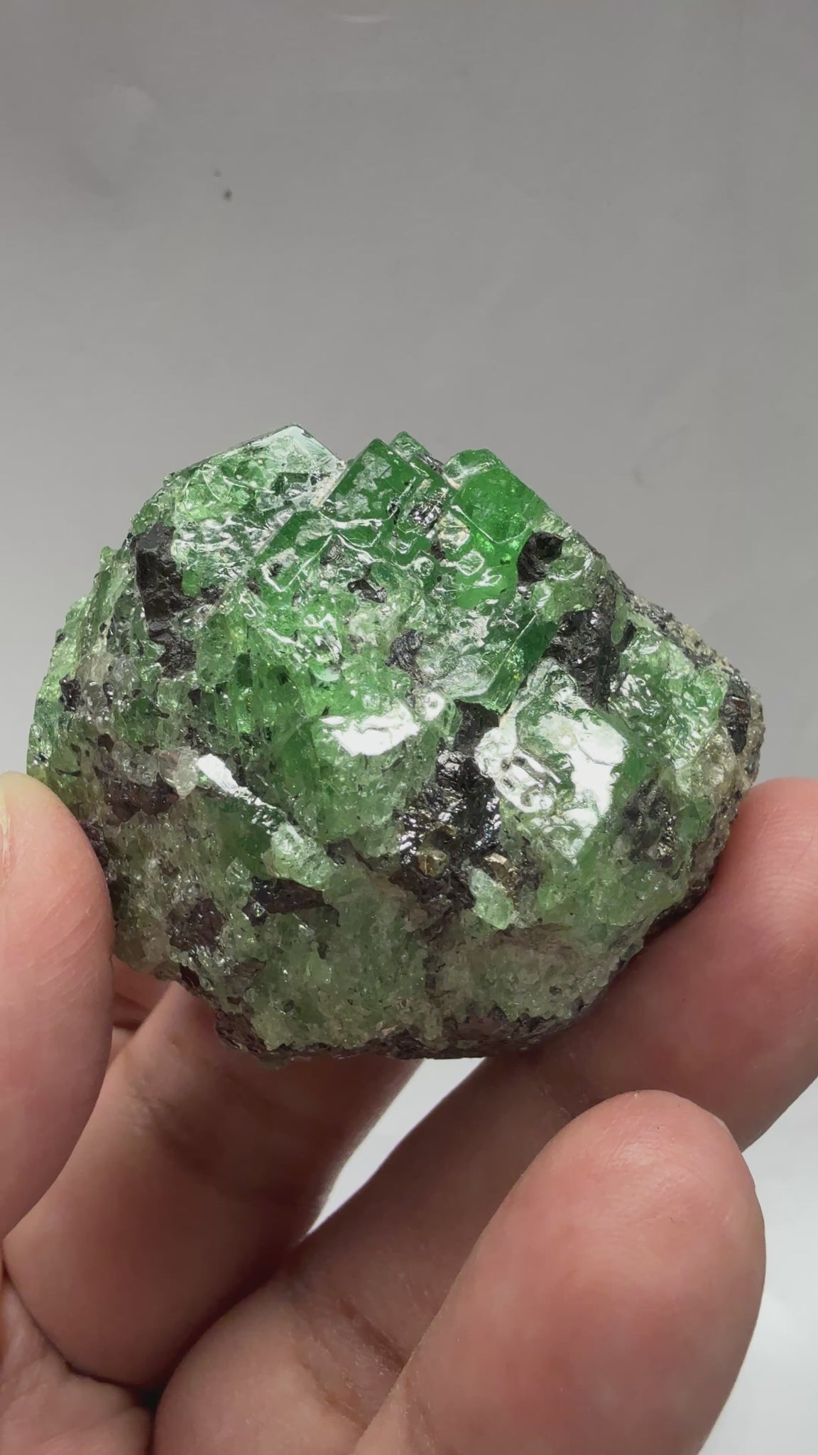 Tsavorite Garnet Crystal with Tanzanite and Pyrite, 94.0gm, Merelani Tanzania, Untreated Unheated.