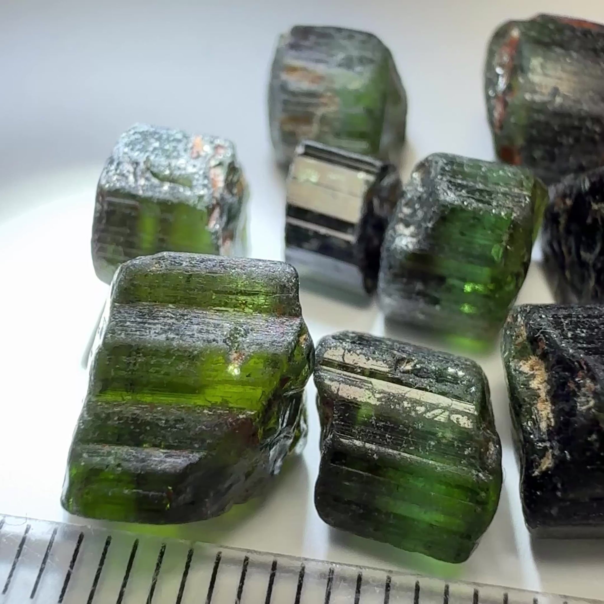 Tourmaline Crystal Lot, 51.91ct, Mwajanga, Tanzania, Untreated Unheated, c axis totally closed, vs-vvs a few si, see video for a backlit view