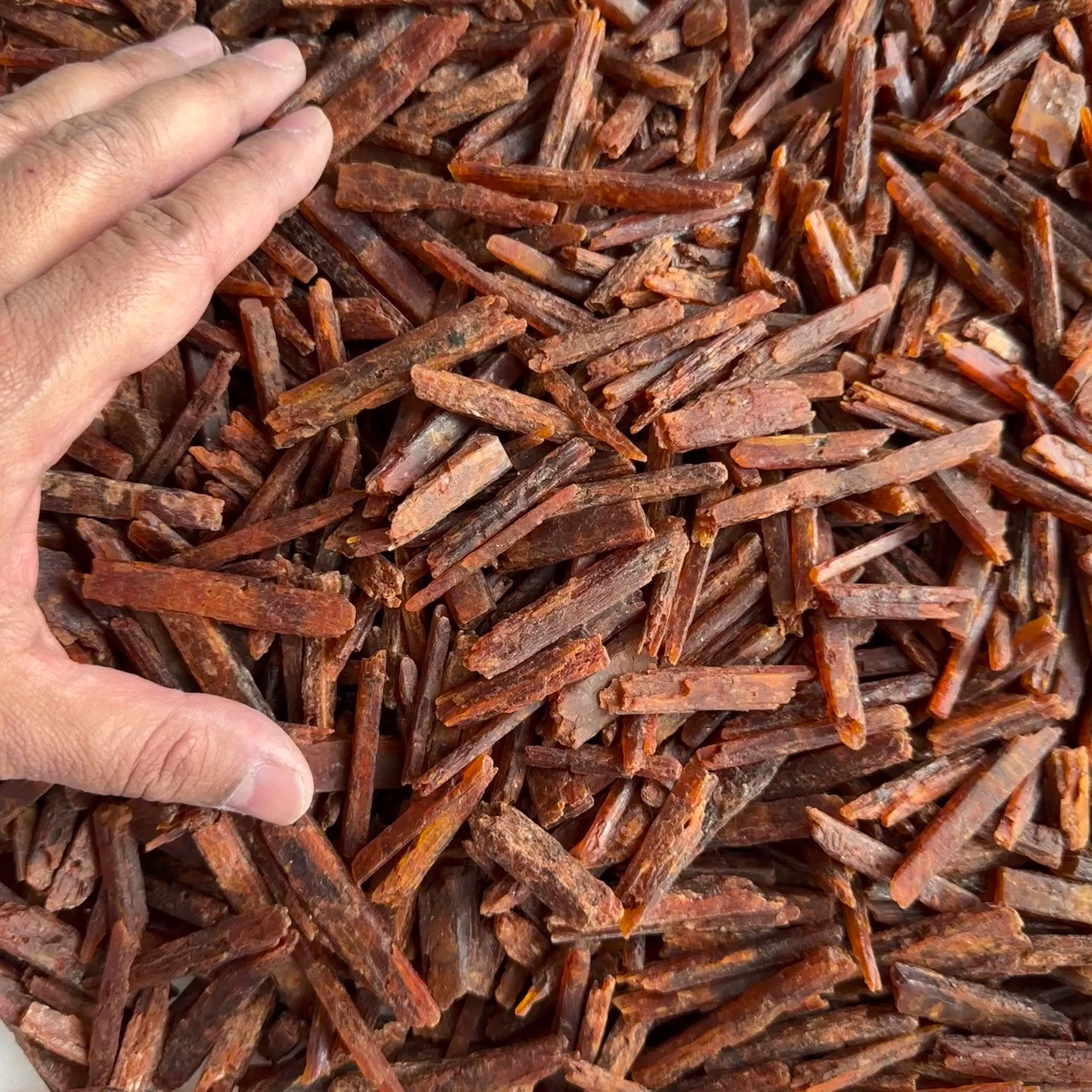 Orange Kyanite, Tanzania, Large Sizes, per piece blind pour