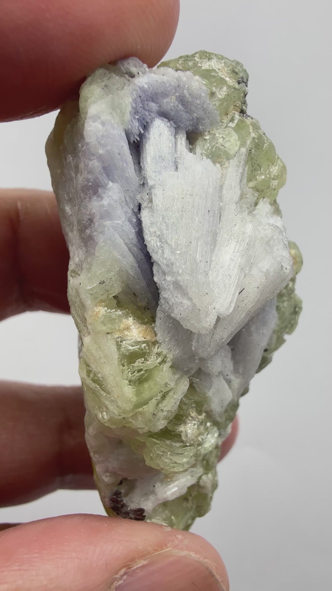 Prehnite with Tanzanite Crystal, 244.52ct Tanzania, Untreated Unheated