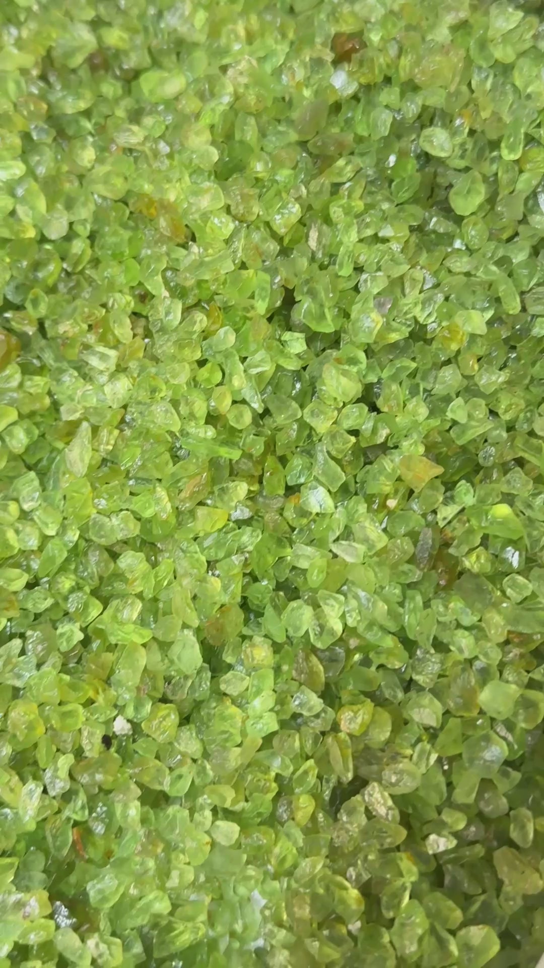 GoGo Peridot Lot, melee rough, 1.558kg / 1558gm / 7790ct, Tanzania, Untreated Unheated, we haven’t washed these, they still have the oil on from when the miner brought it in, 0.80ct average size, eye clean and better, literally US$0.6 per gm