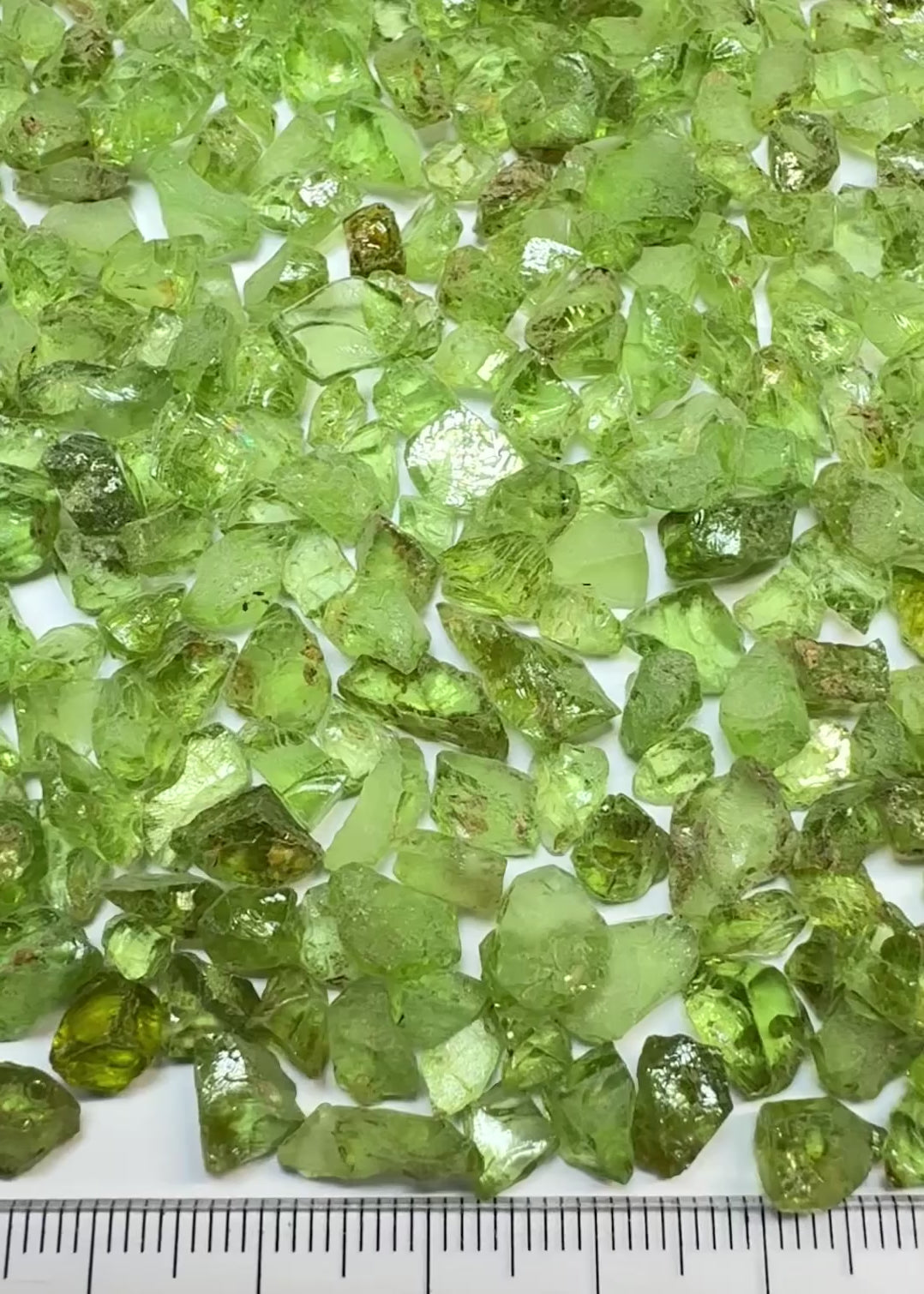 GoGo Peridot Lot, 131.70gm/658.5ct, Wa GoGo Tribe, Tanzania, Untreated Unheated, av size 1.90ct, faceting rough mix, use also in jewellery as is
