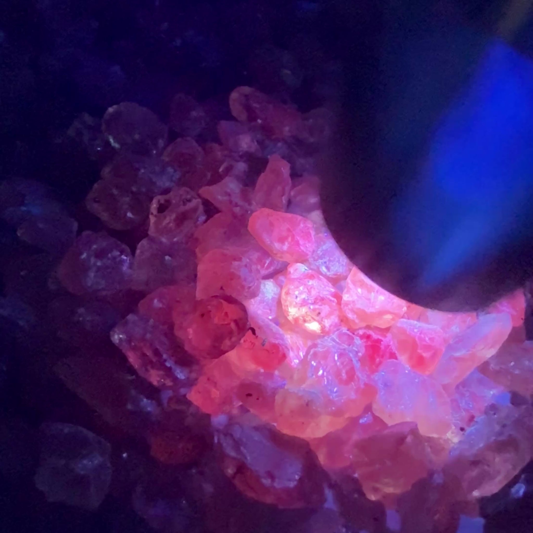 Dragon Garnet Lot, 154.00gm / 770.00ct Lot, Tanzania, Untreated Unheated, mixed clarity lot, 1.46ct average, see the videos for uv effect