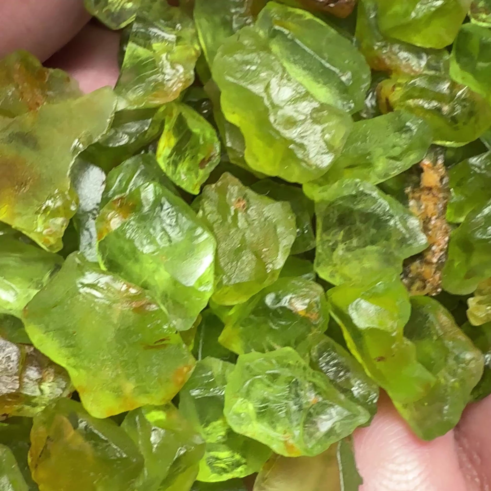 GoGo Peridot Lot, 111.50gm (557.50ct), Tanzania, mixed grades, clarities and shapes
