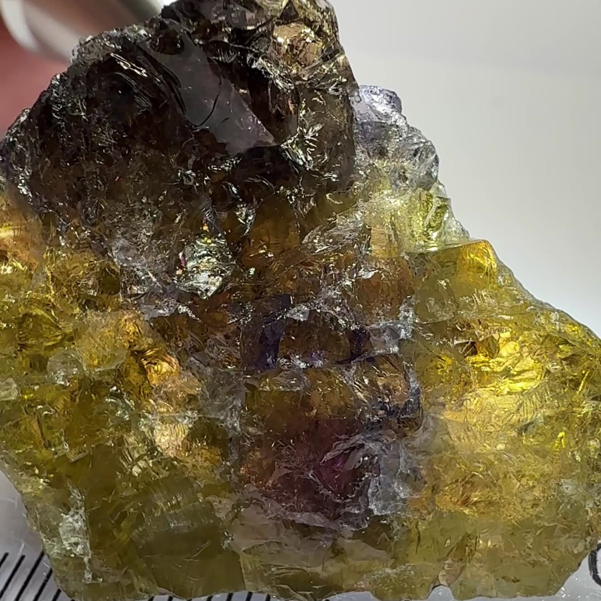 Tanzanite Crystal, 156.08ct, Merelani, Tanzania, Untreated Unheated