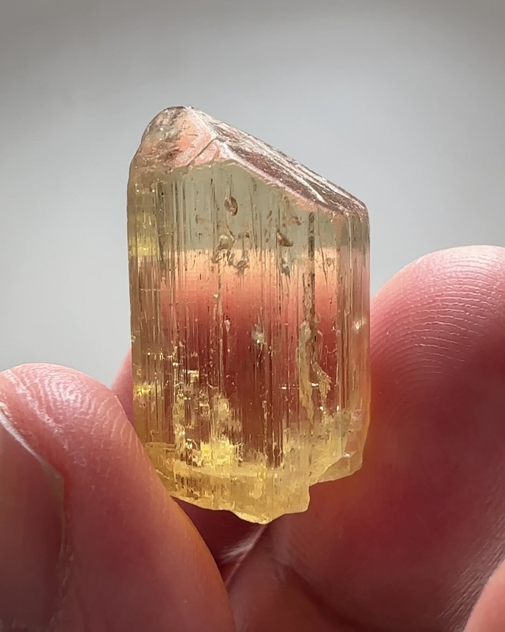 Golden Scapolite Crystal, 42.29ct, Tanzania, Untreated Unheated