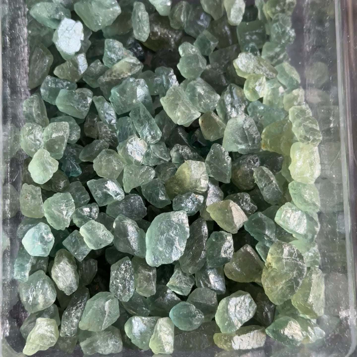 Neon Apatite, Tanzania, Per stone, want any particular clarity, just ask