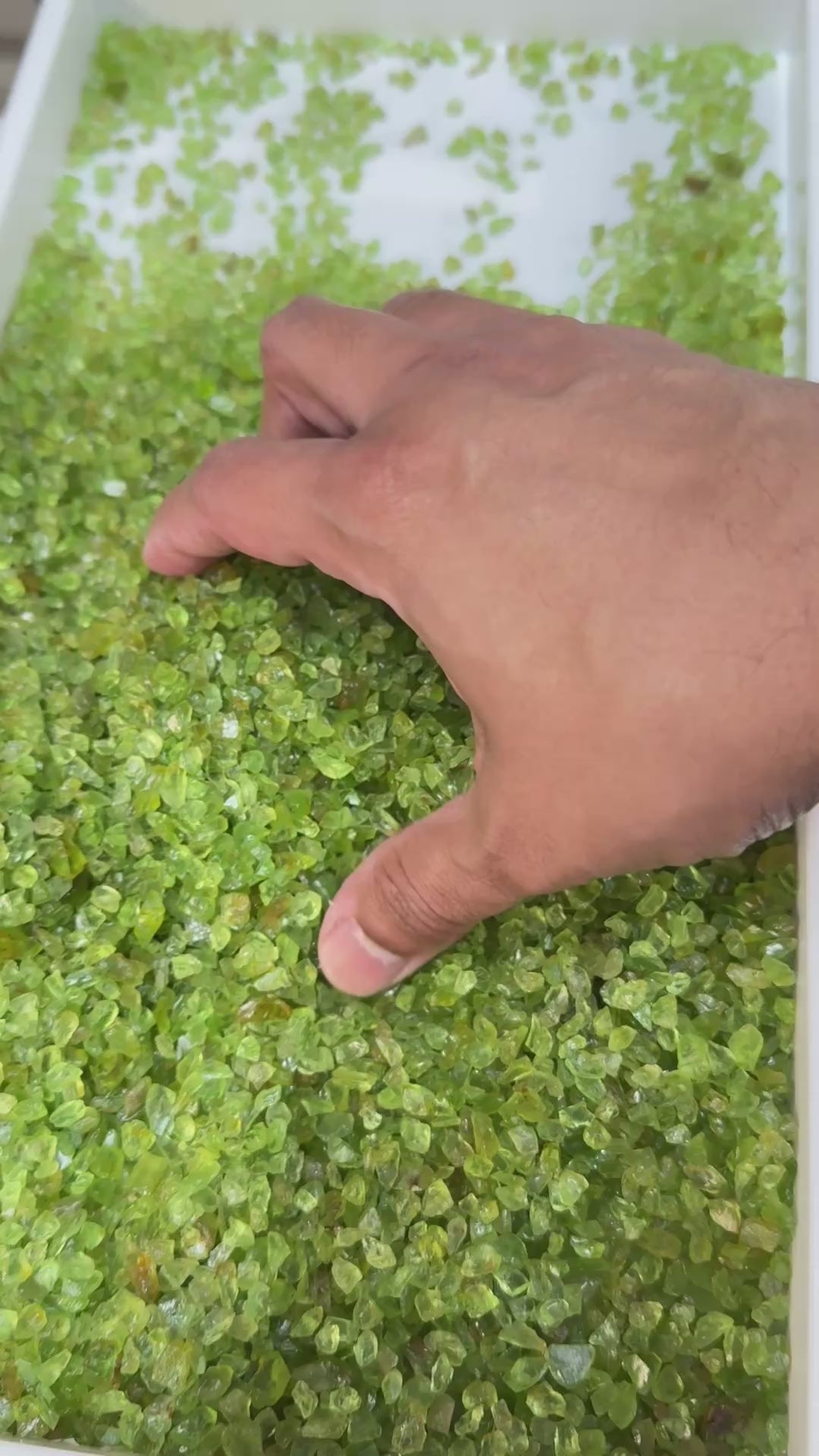 GoGo Peridot Lot, melee rough, 1.558kg / 1558gm / 7790ct, Tanzania, Untreated Unheated, we haven’t washed these, they still have the oil on from when the miner brought it in, 0.80ct average size, eye clean and better, literally US$0.6 per gm