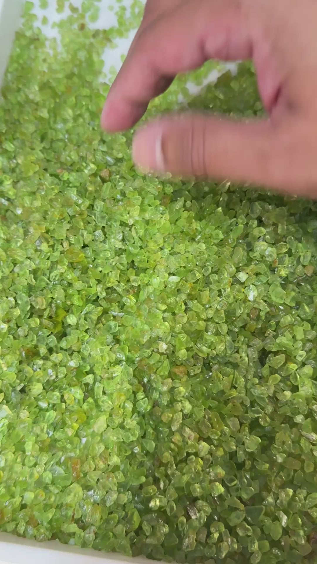 GoGo Peridot Lot, melee rough, 1.558kg / 1558gm / 7790ct, Tanzania, Untreated Unheated, we haven’t washed these, they still have the oil on from when the miner brought it in, 0.80ct average size, eye clean and better, literally US$0.6 per gm