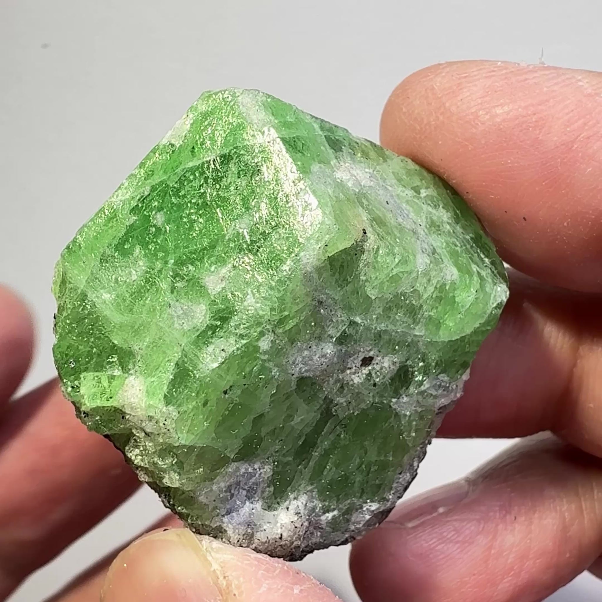 Tsavorite Garnet Crystal with Tanzanite, 248.18ct, Merelani, Tanzania, Untreated Unheated