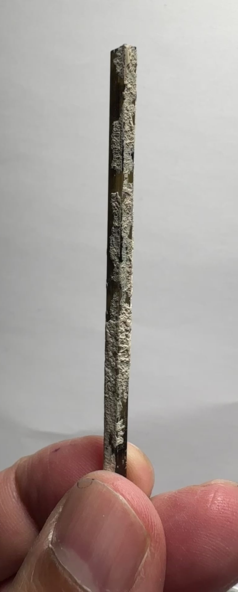 Tourmaline Crystal 12.04ct, Mwajanga, Tanzania, Untreated Unheated